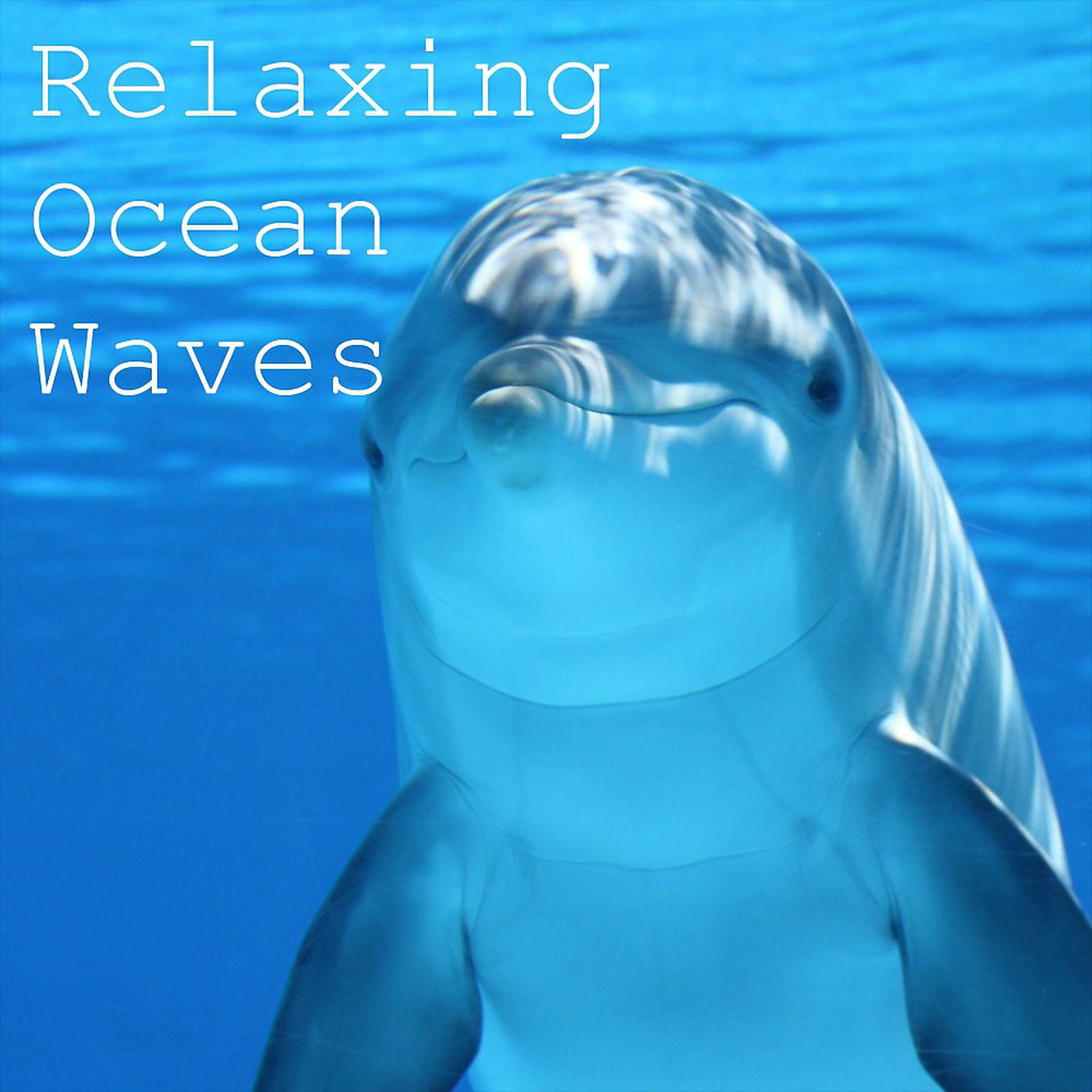 Постер альбома Relaxing Ocean Waves (Baby Sleep Sound, Concentrate, Focus)