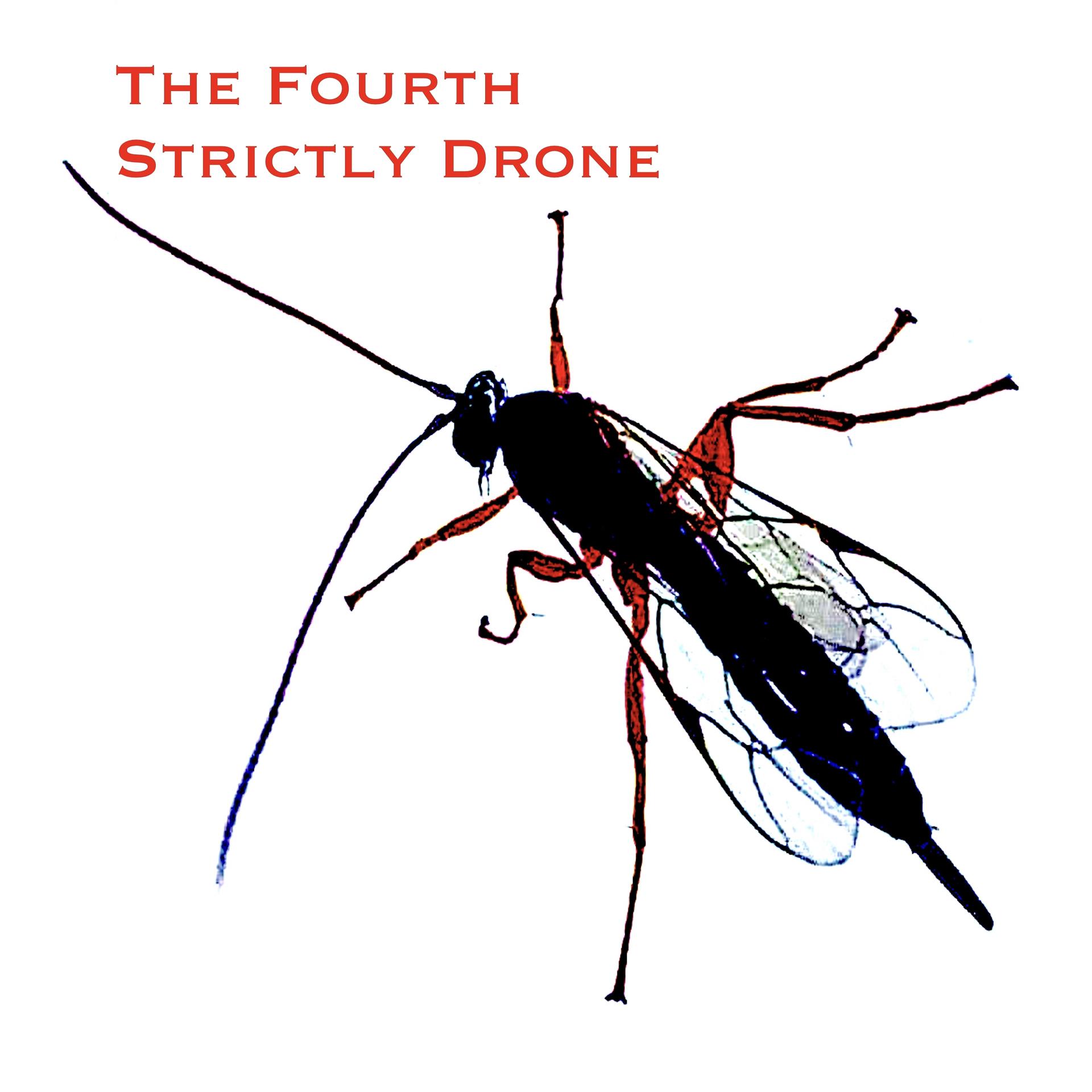 Постер альбома The Fourth Strictly Drone