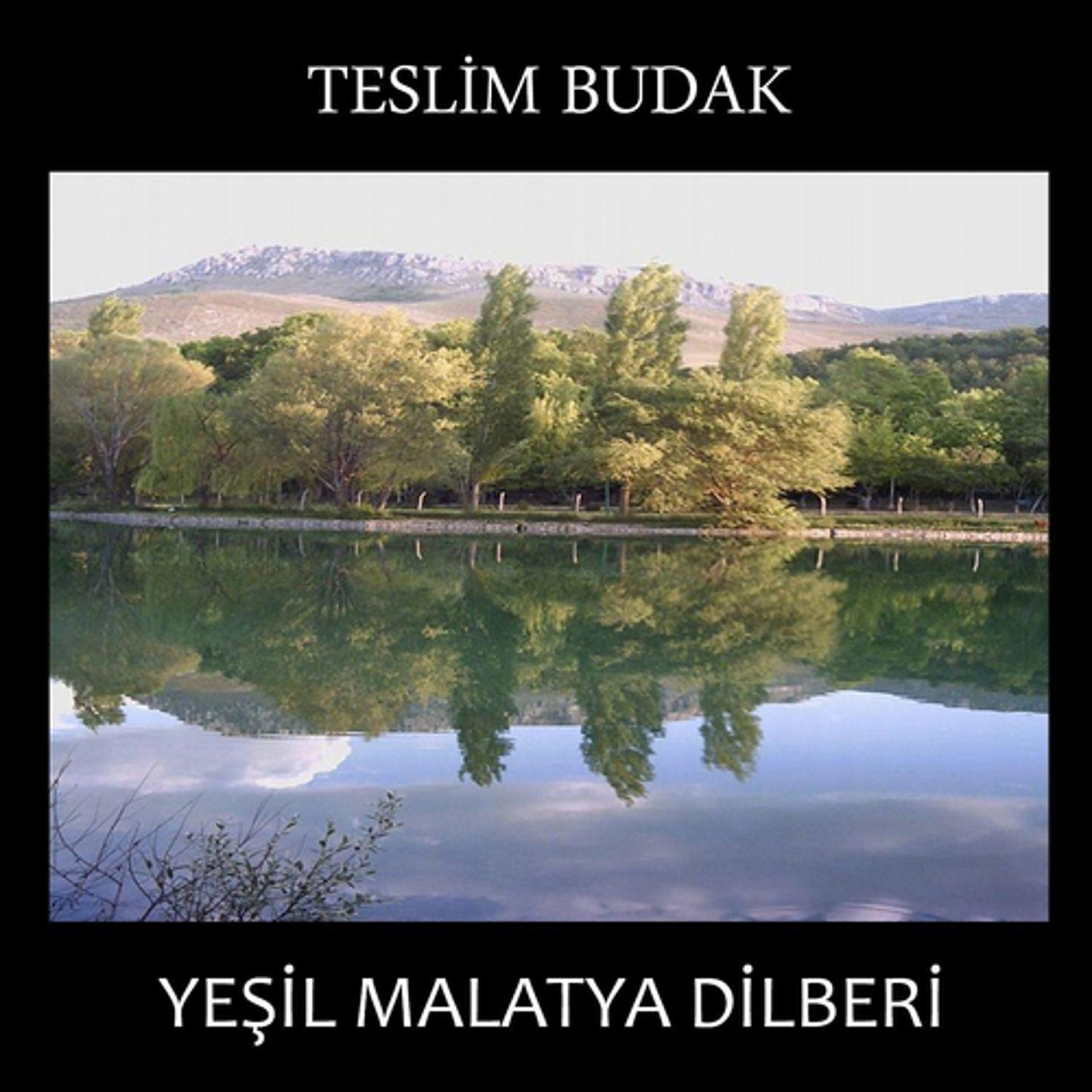 Постер альбома Yeşil Malatya Dilberi
