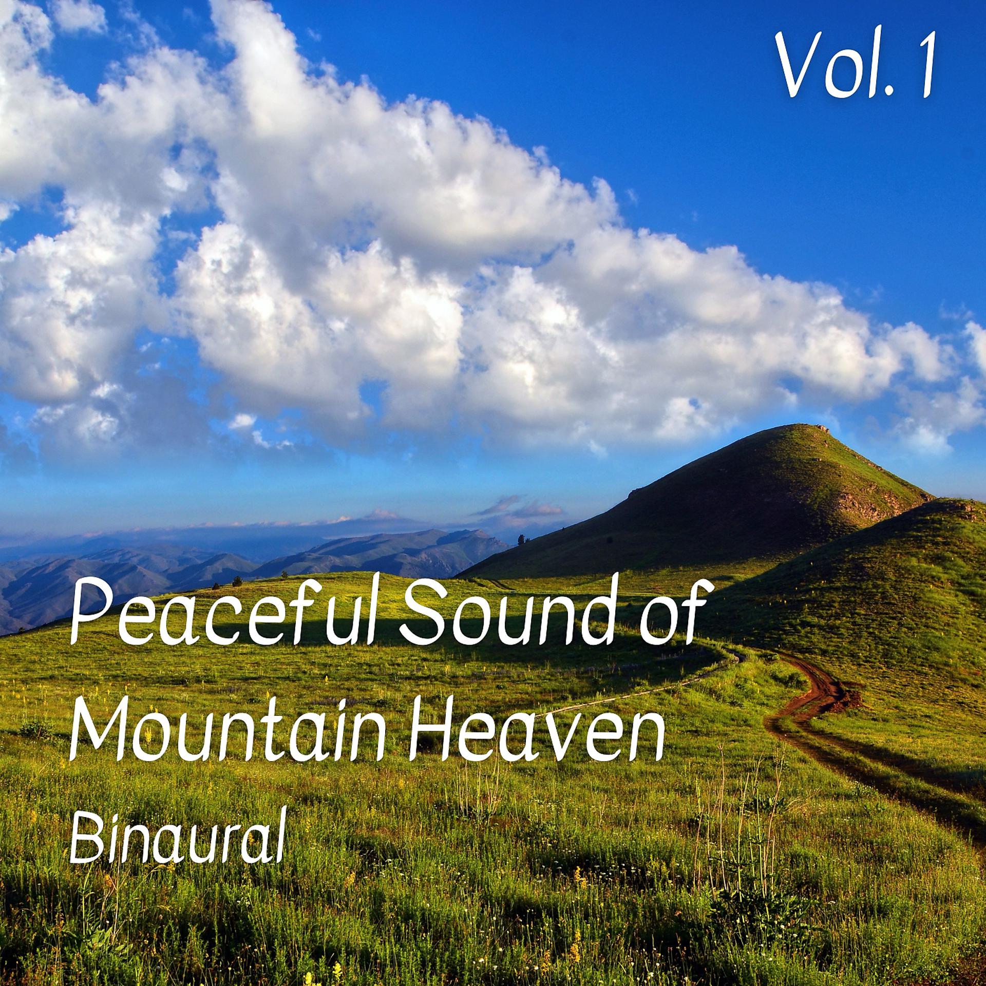 Постер альбома Binaural: Peaceful Sound of Mountain Heaven Vol. 1