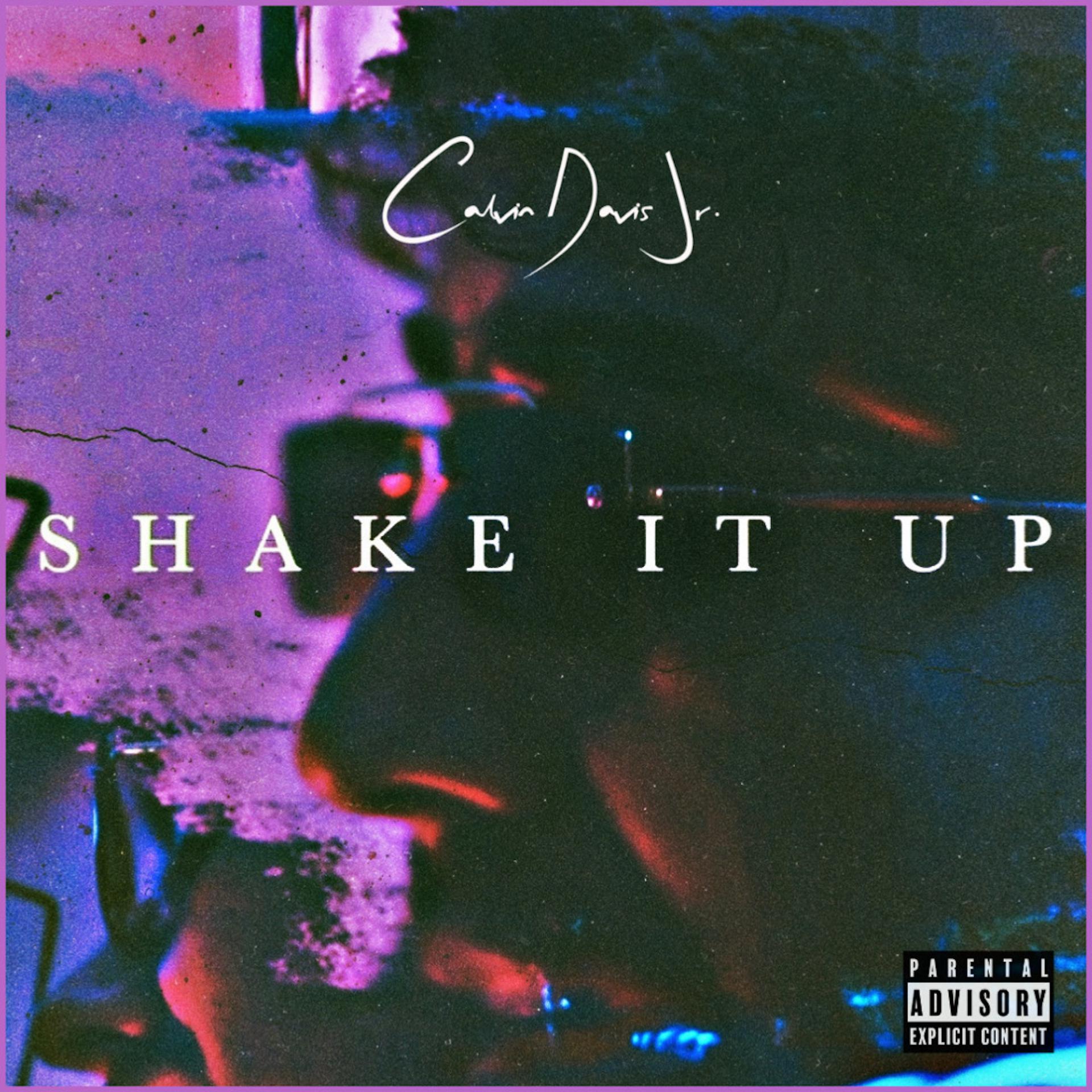 Постер альбома Shake It Up (Intro)