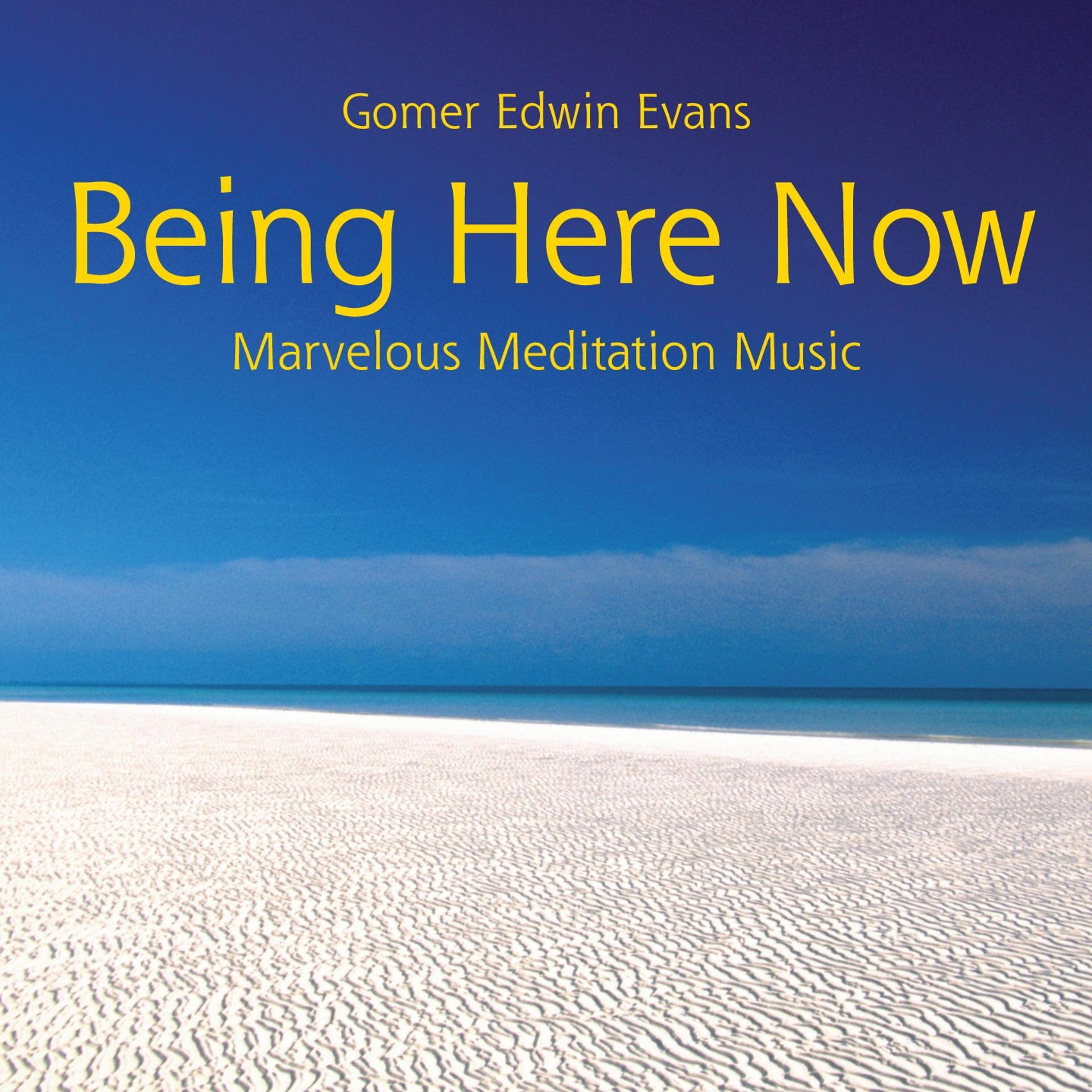 Постер альбома Being Here Now: Marvelous Meditation Music