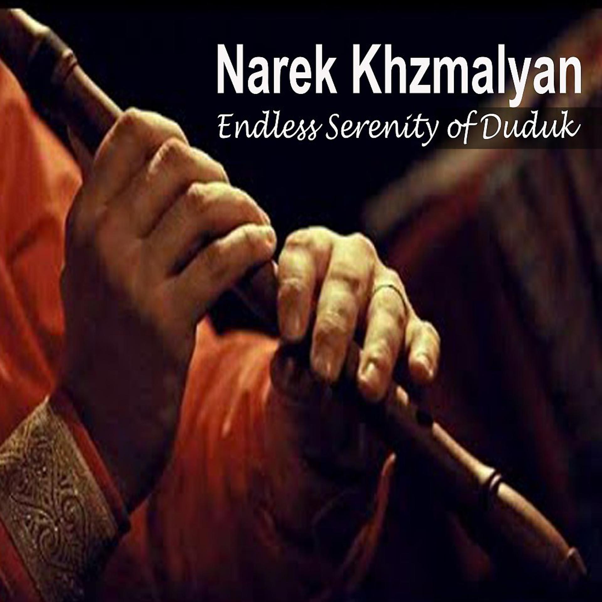 Постер альбома Endless Serenity of Duduk