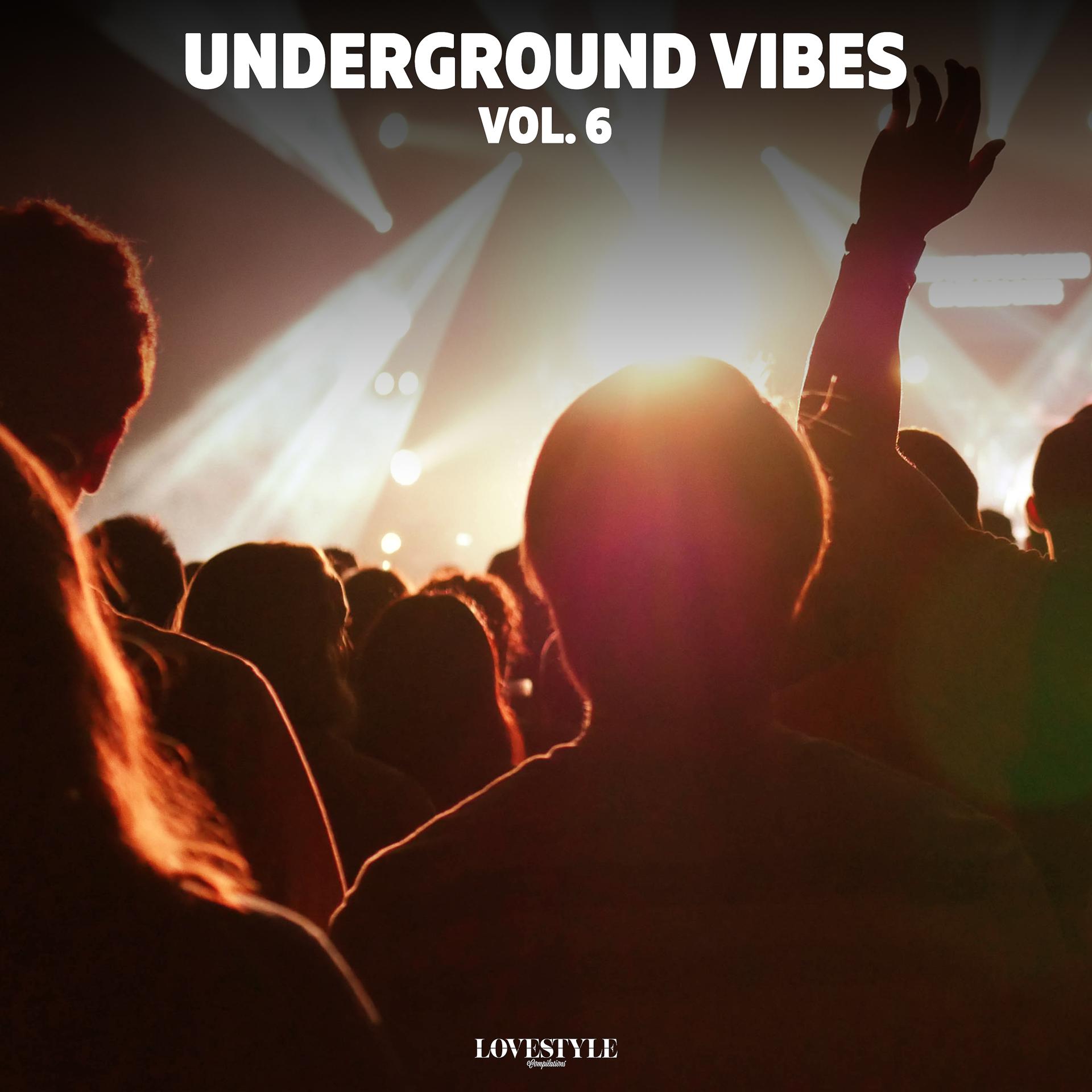 Постер альбома Underground Vibes Vol. 6