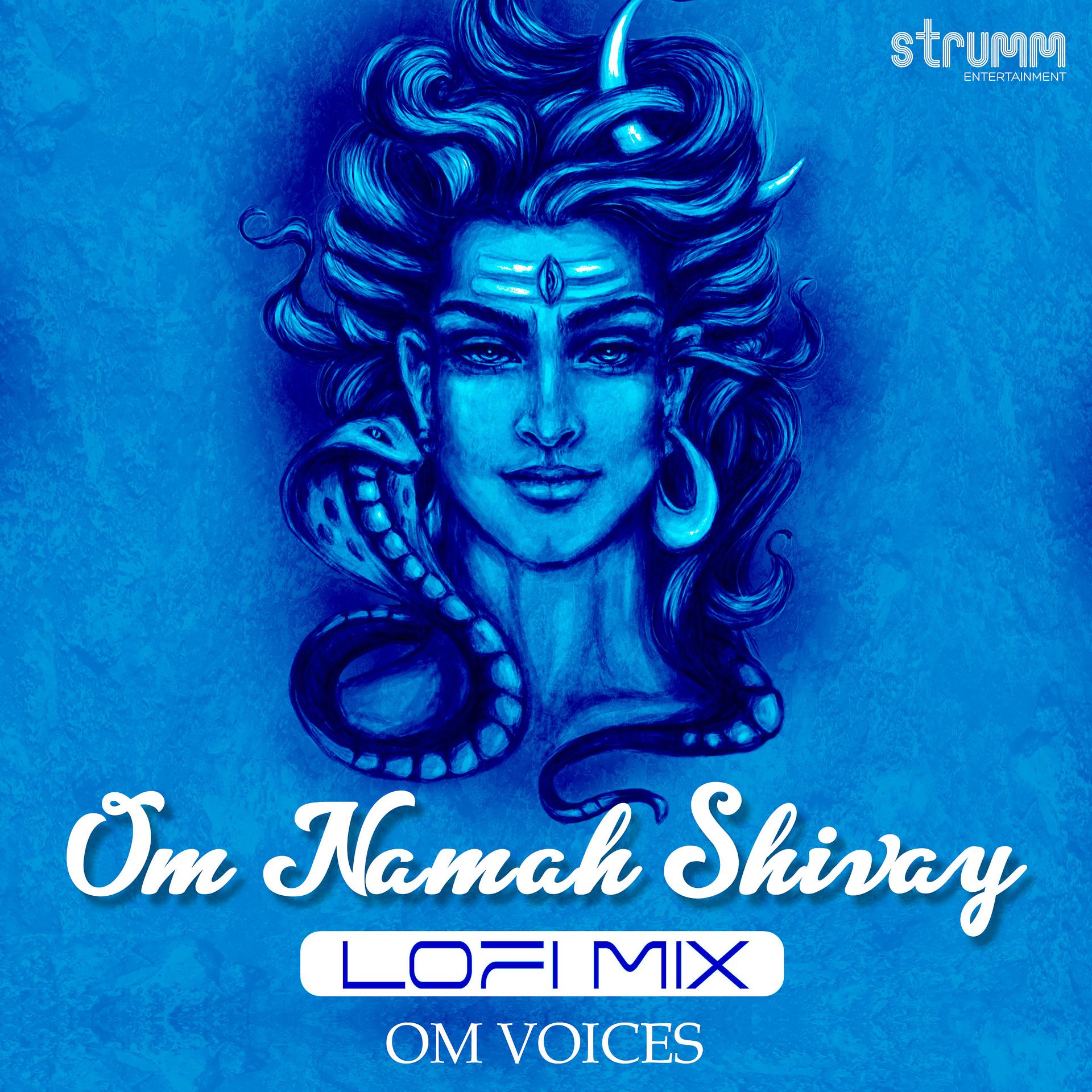 Постер альбома Om Namah Shivay (Lofi Mix)