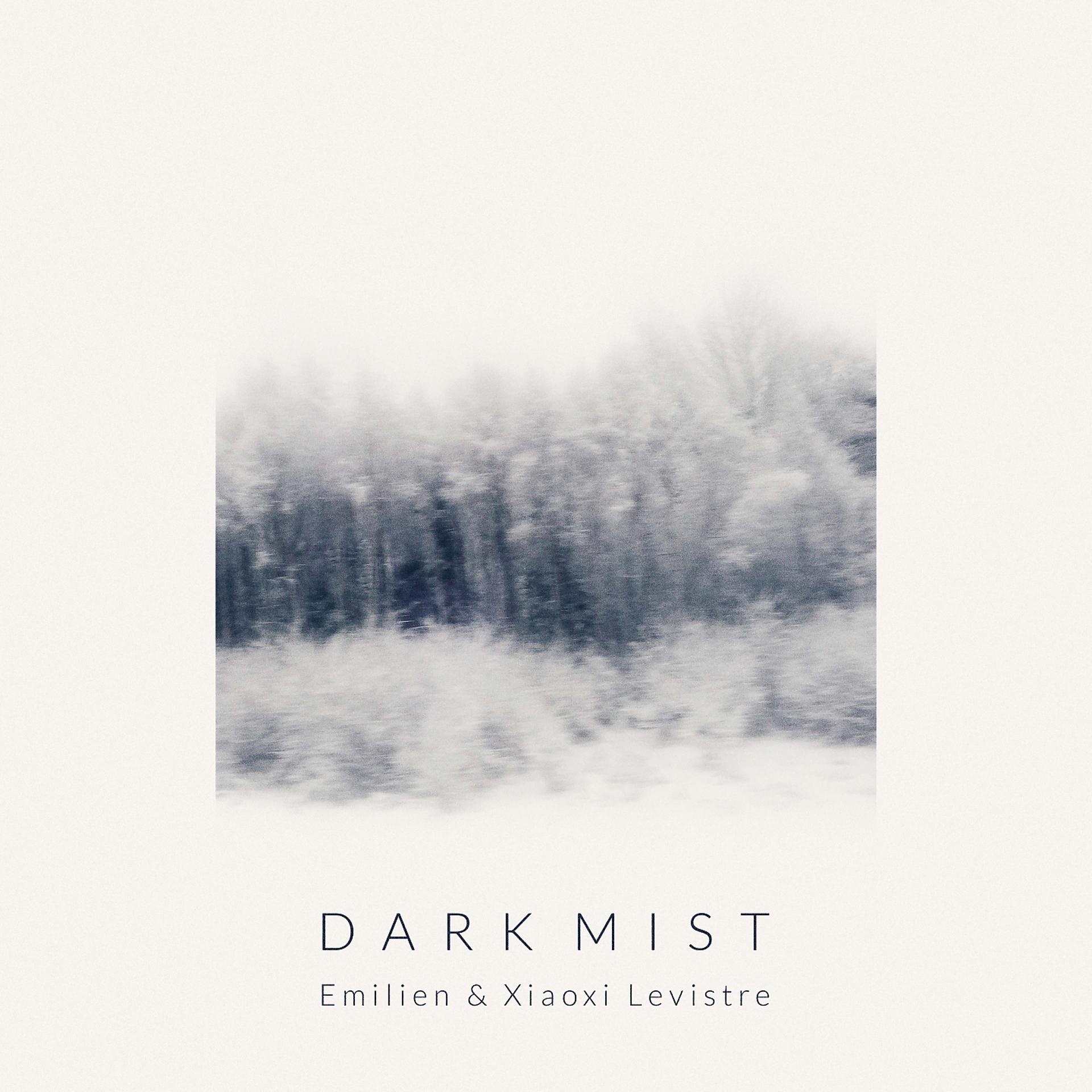 Постер альбома Dark Mist