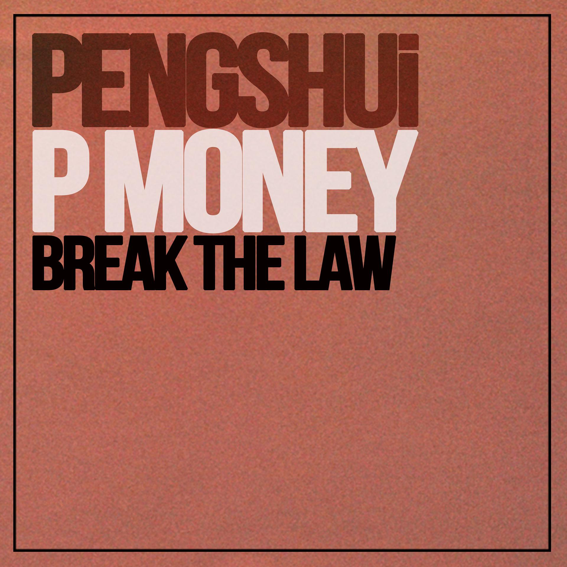 Постер альбома Break The Law