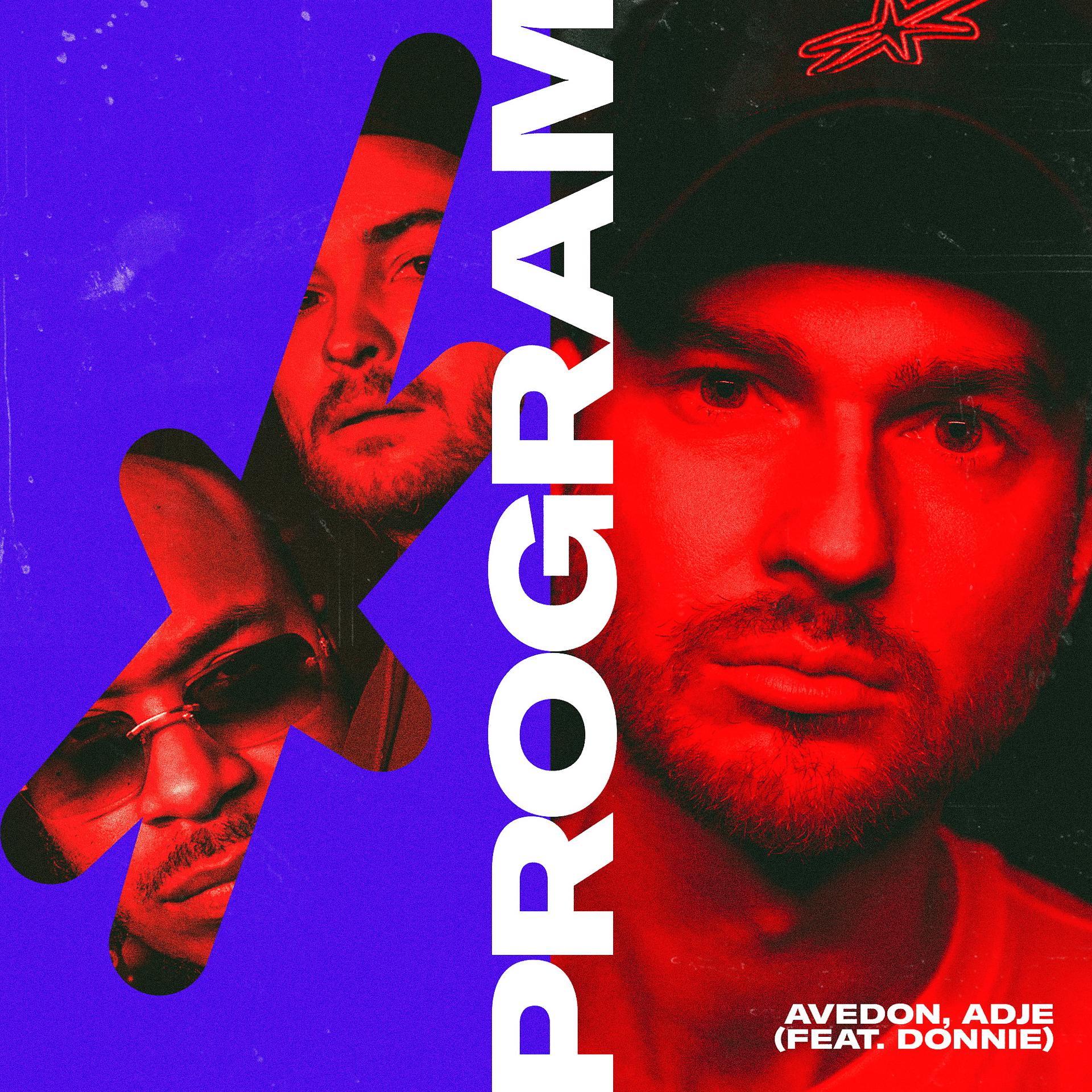 Постер альбома Program (feat. Donnie)