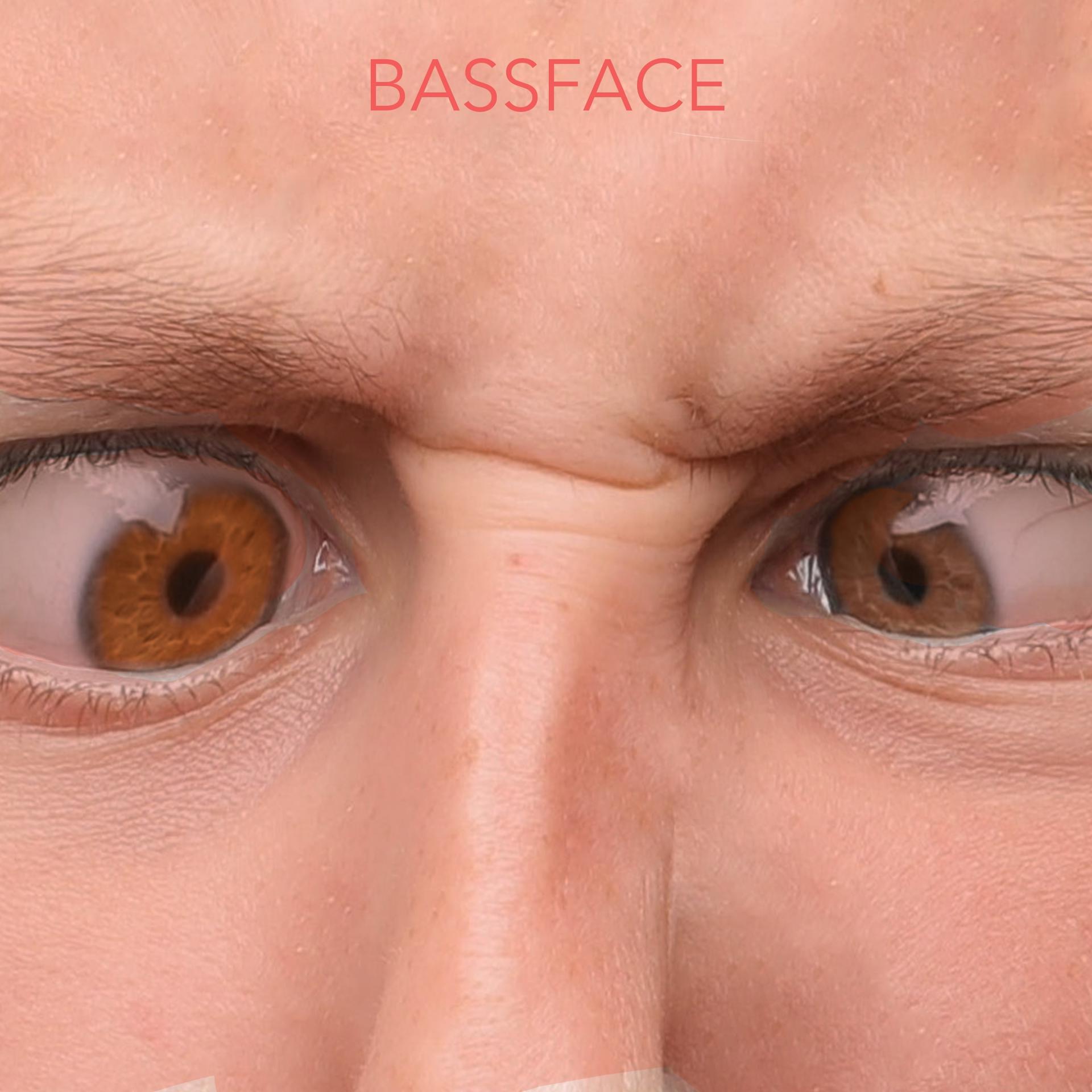 Постер альбома Bassface