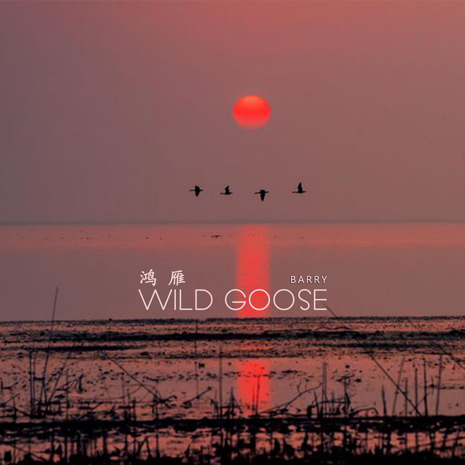 Постер альбома Wild Goose