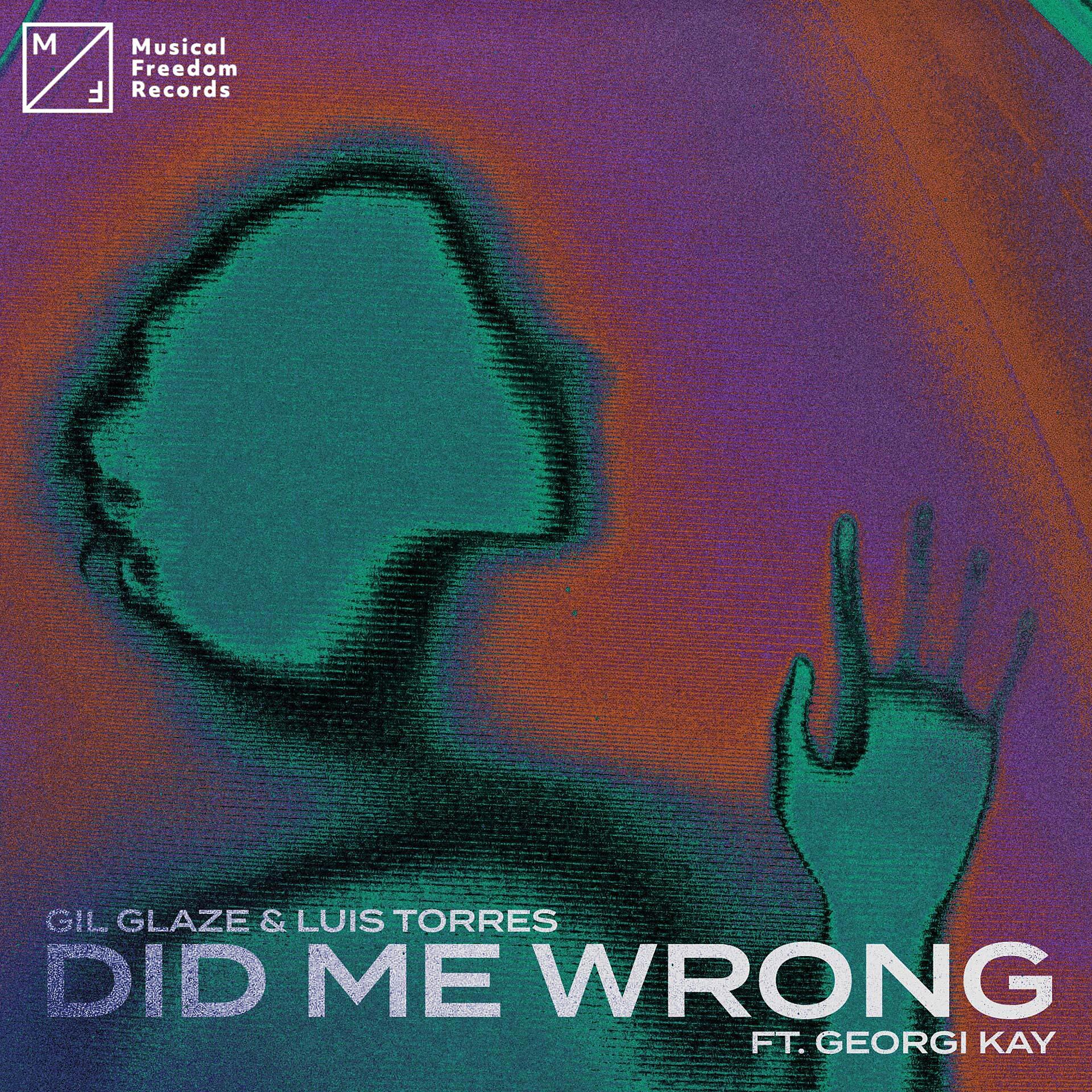Постер альбома Did Me Wrong (feat. Georgi Kay)