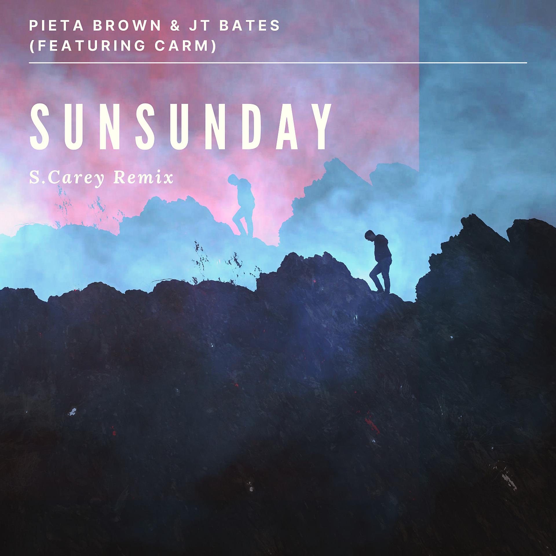 Постер альбома Sunsunday (feat. CARM)