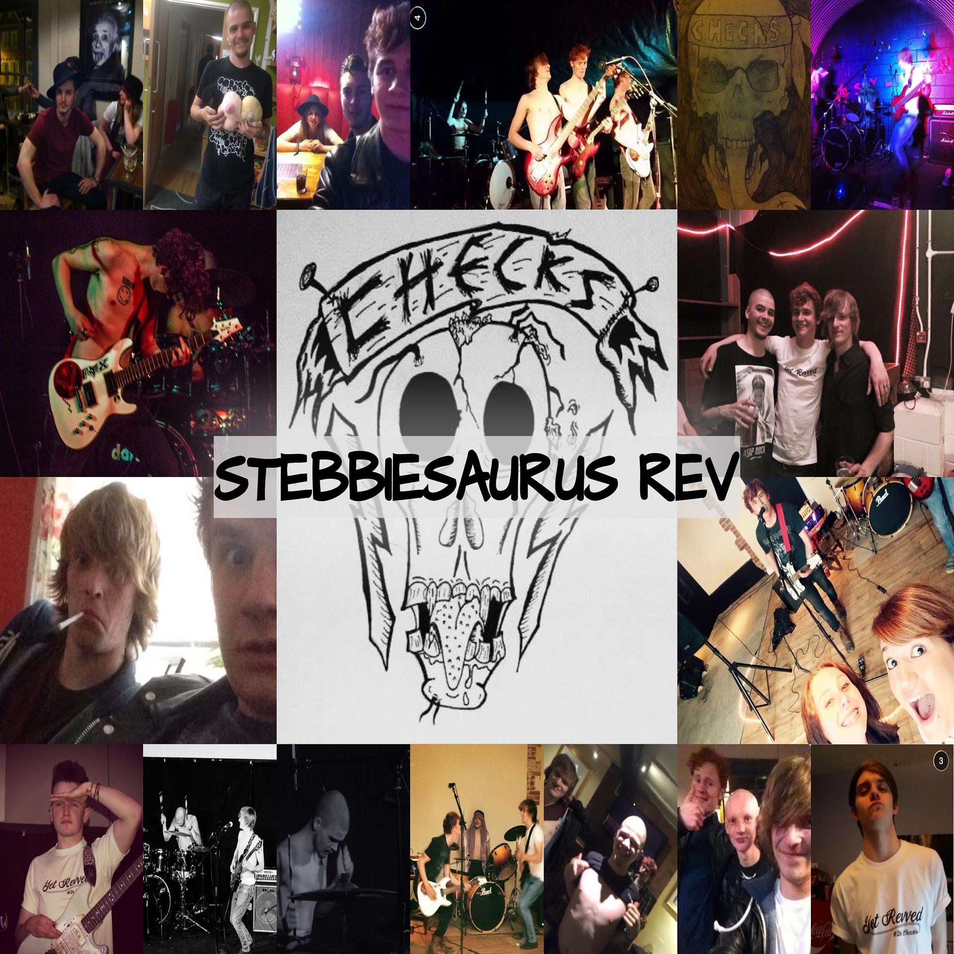 Постер альбома Stebbiesaurus Rev