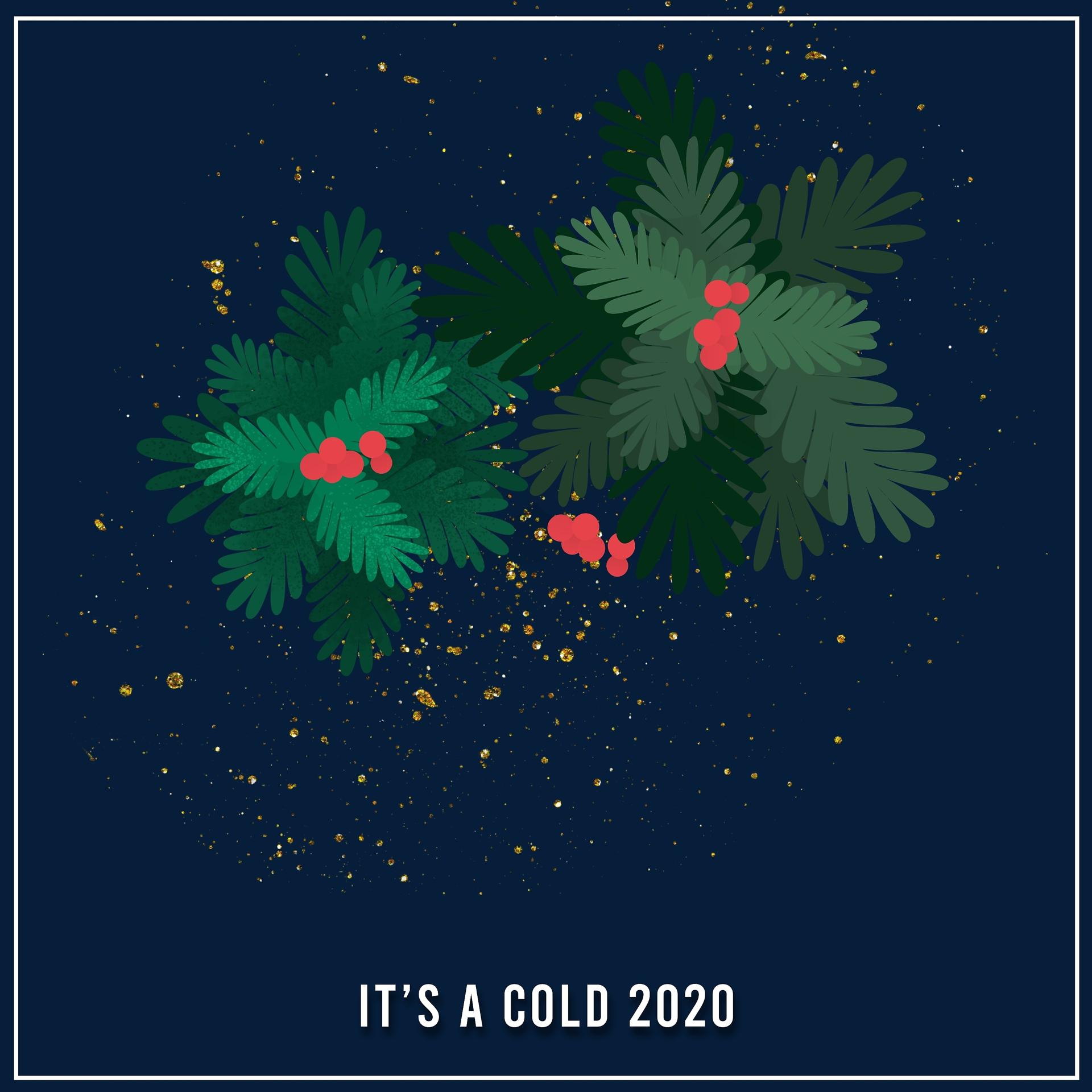Постер альбома It's a Cold 2020