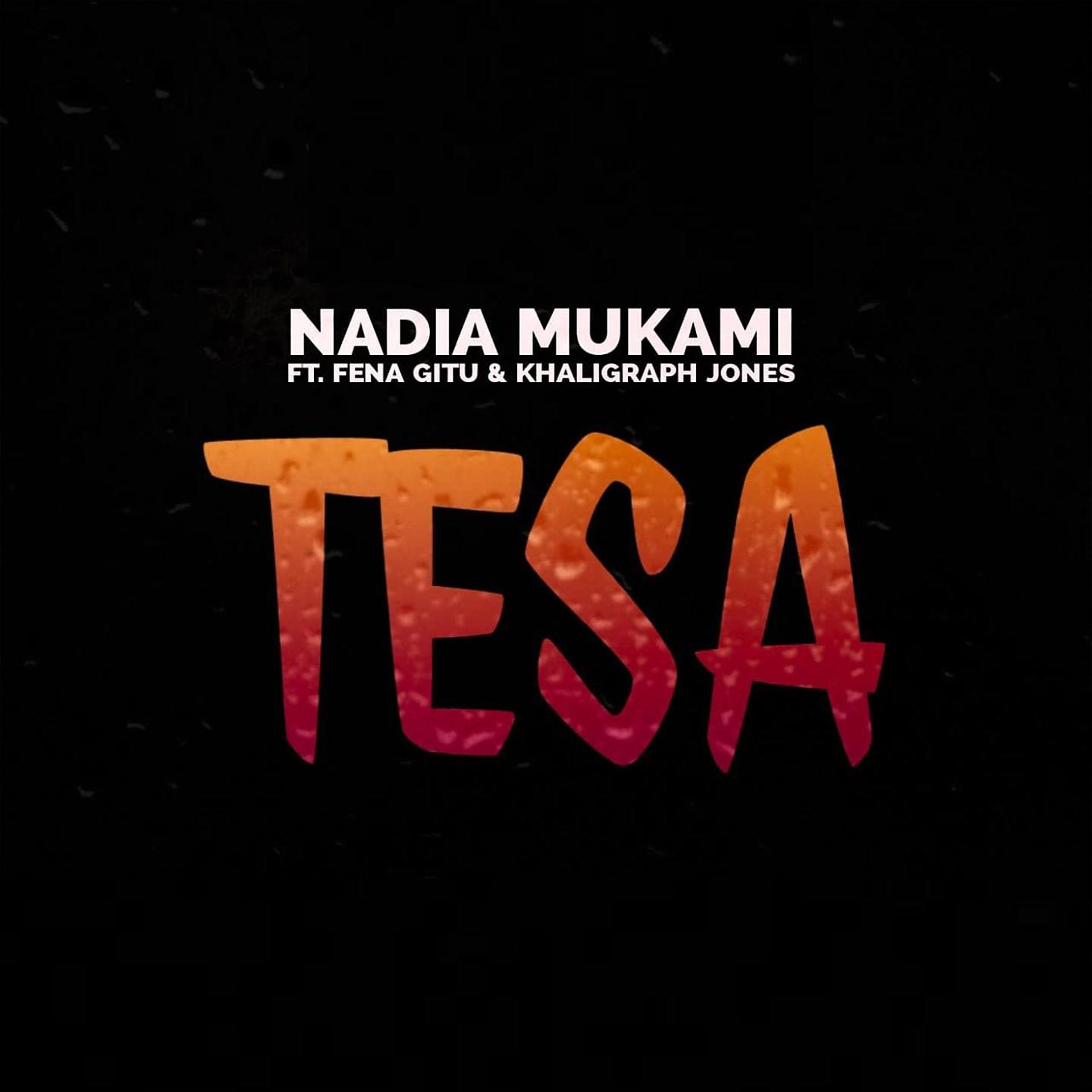Постер альбома Tesa