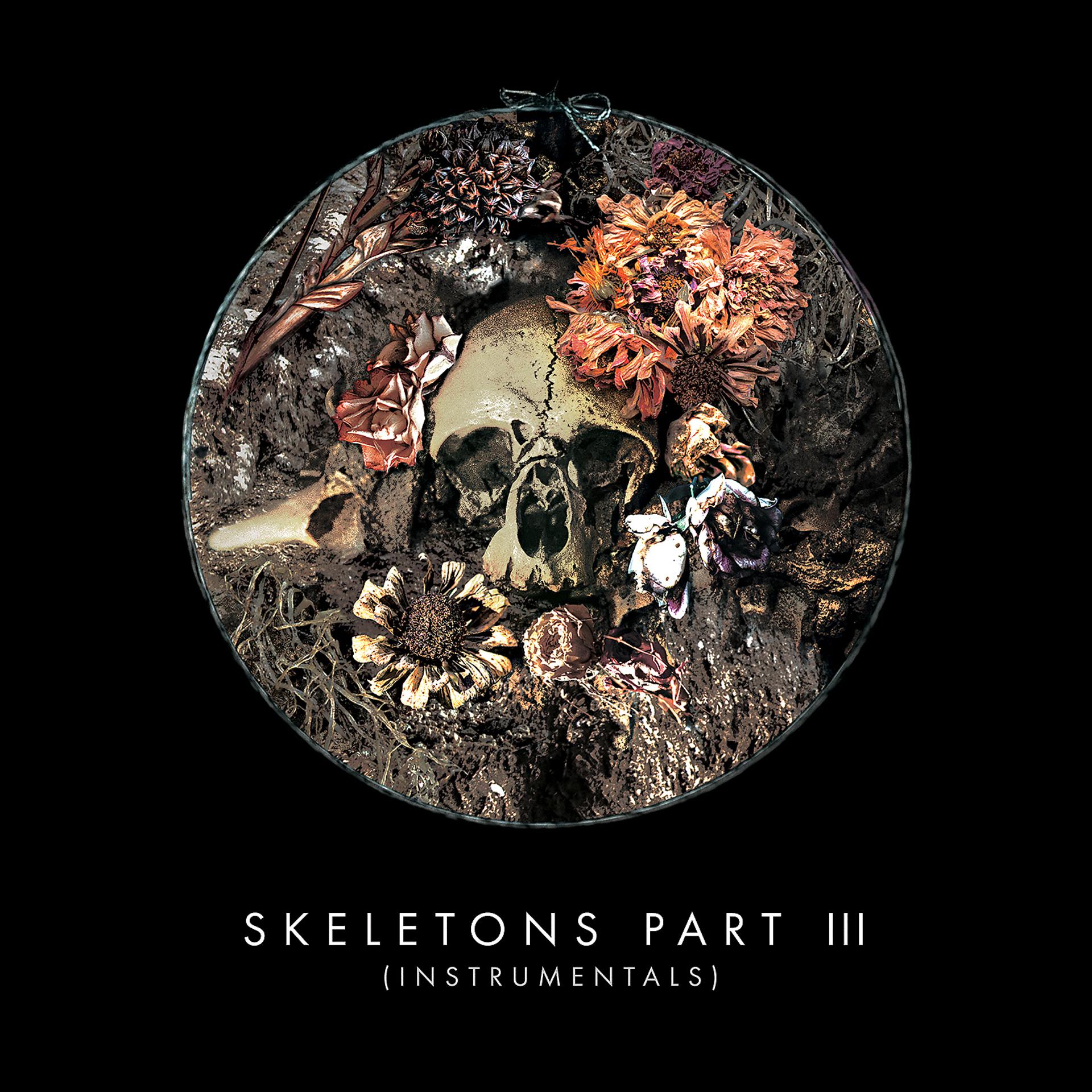 Постер альбома Skeletons: Part 3 (Instrumentals)