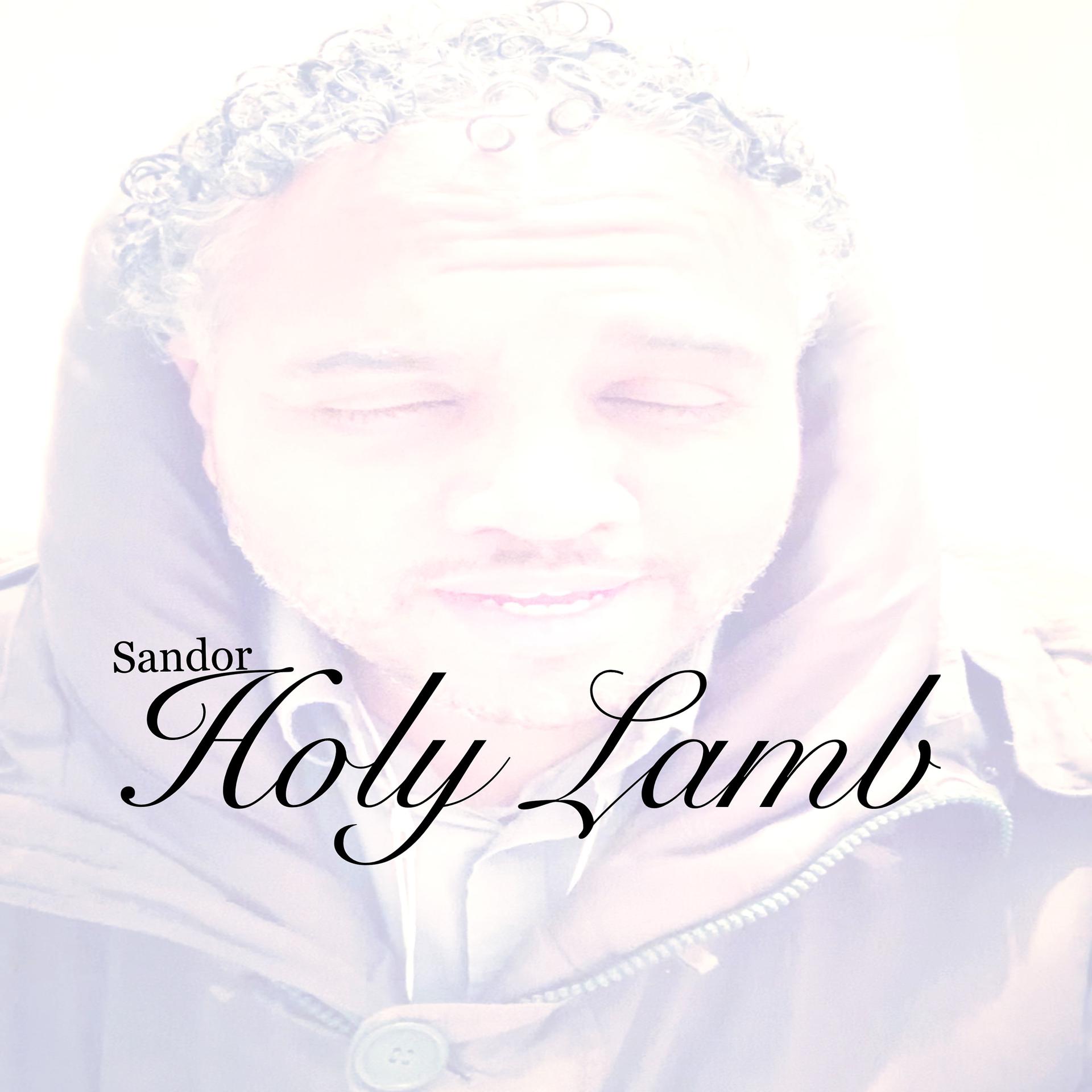 Постер альбома Holy Lamb