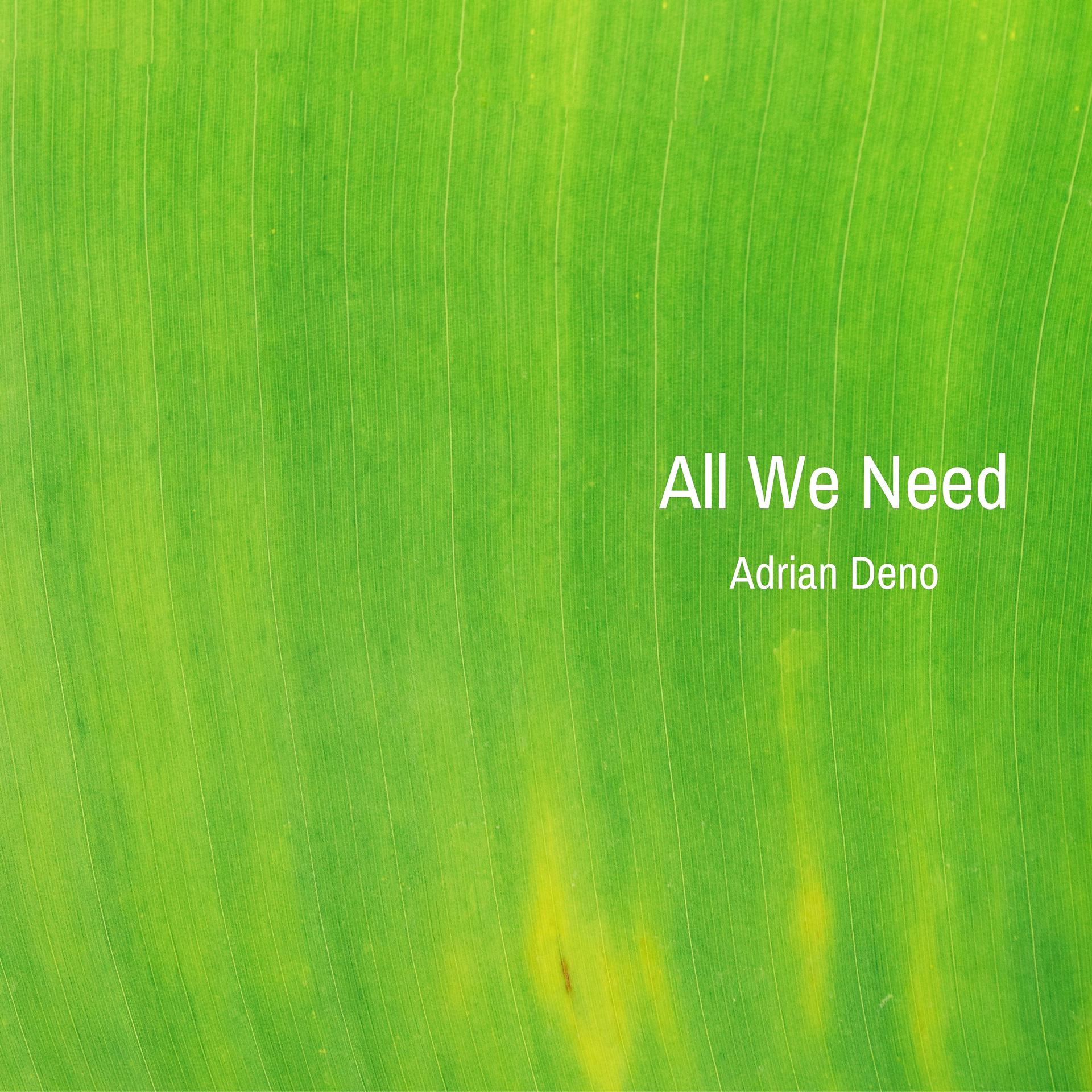 Постер альбома All We Need