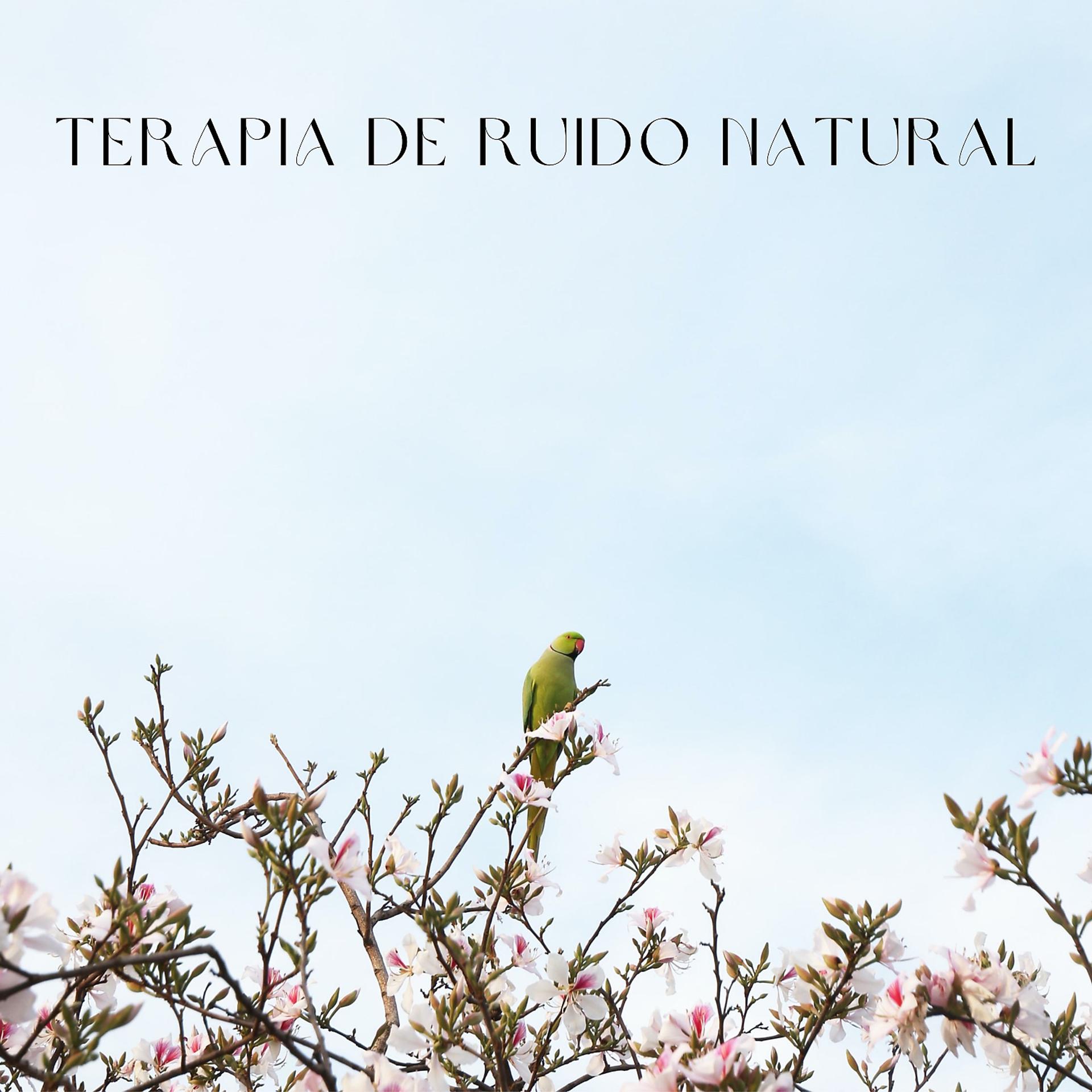 Постер альбома Terapia De Ruido Natural