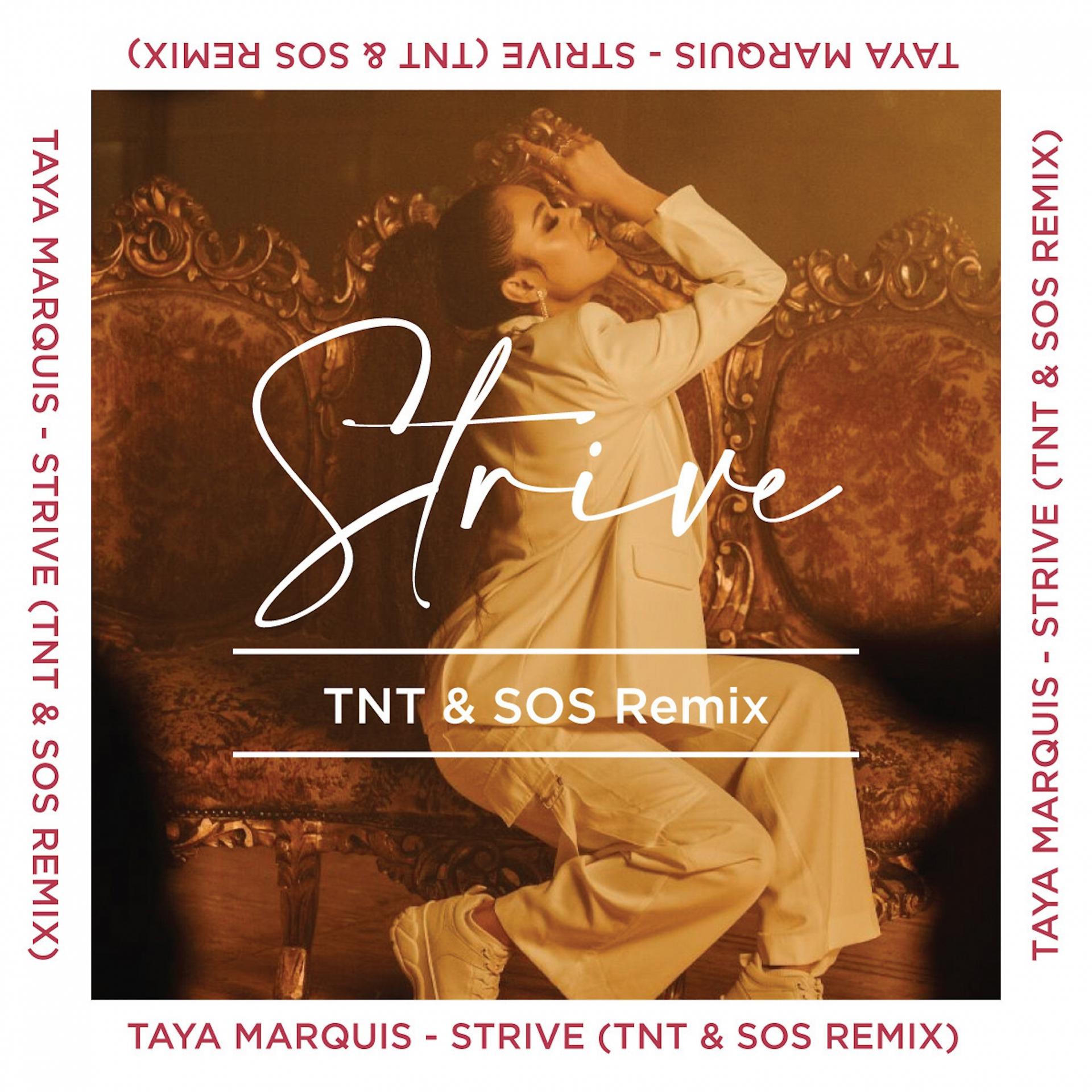 Постер альбома Strive (TNT & SOS Remix)