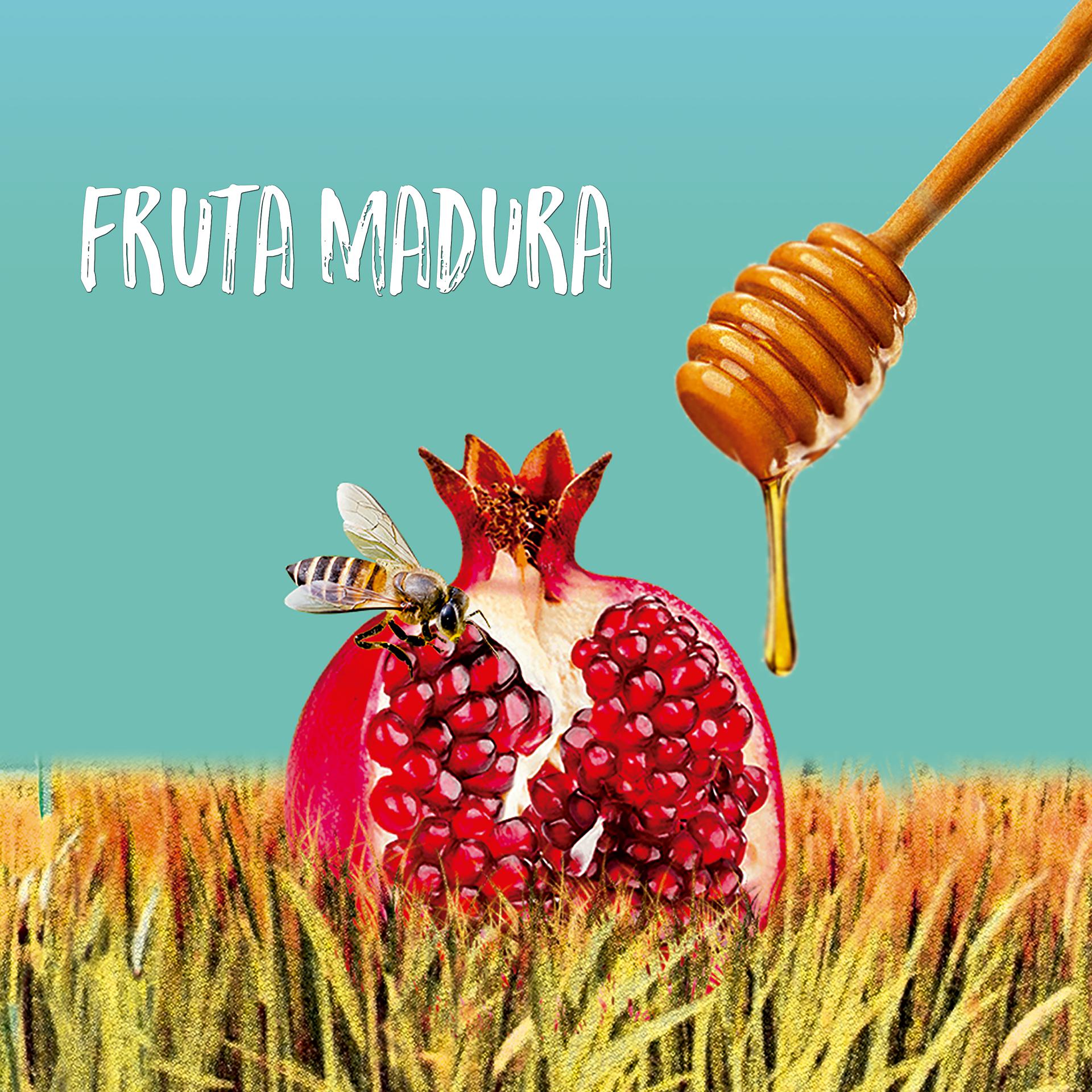 Постер альбома Fruta Madura