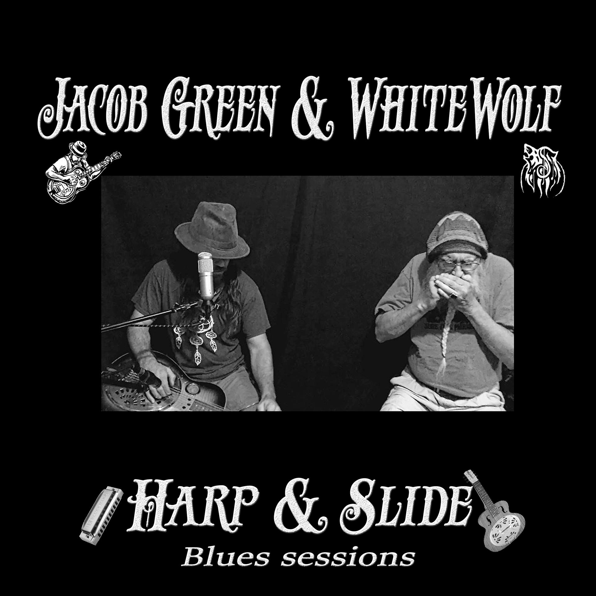 Постер альбома Harp & Slide Blues Sessions