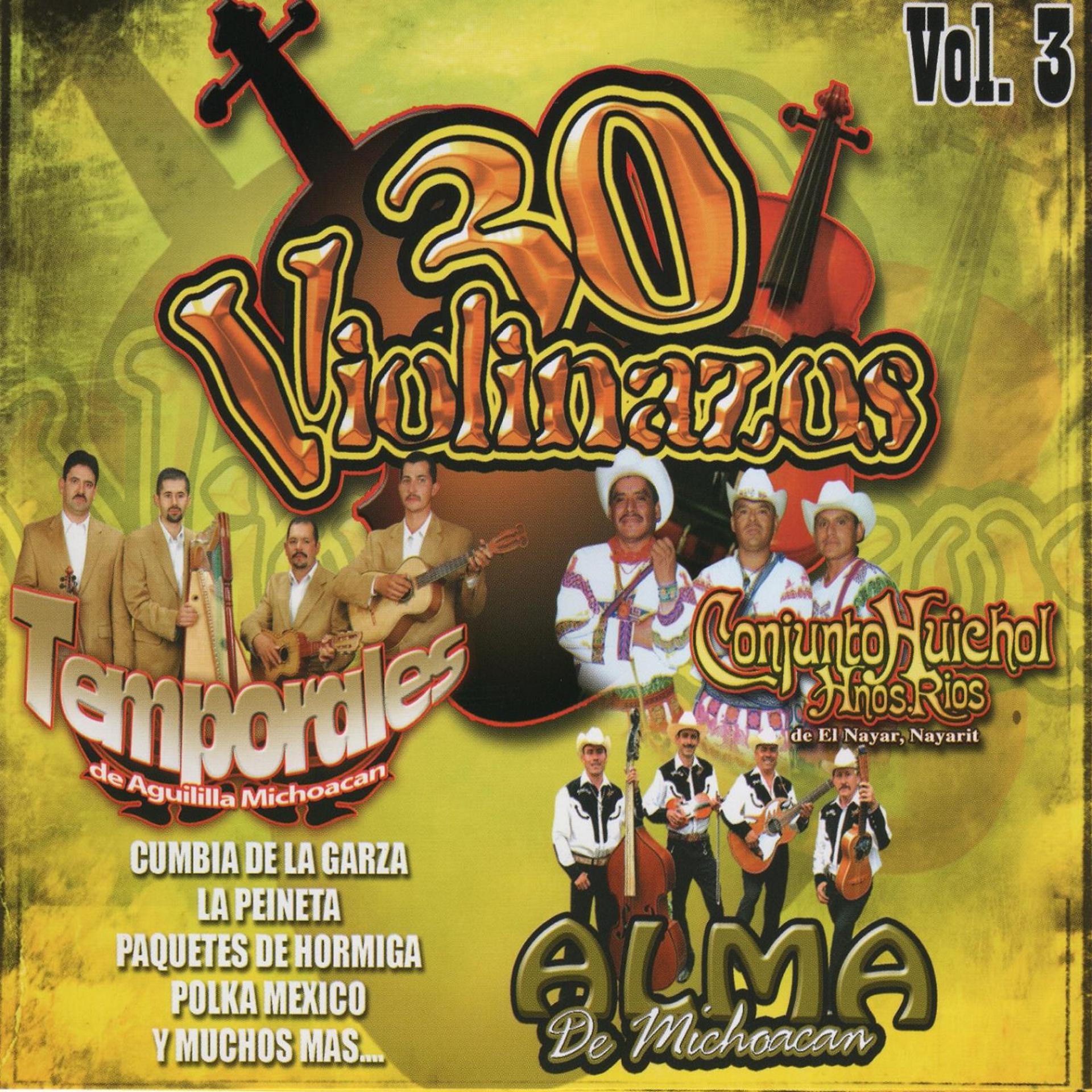 Постер альбома 30 Violinazos, Vol. 3
