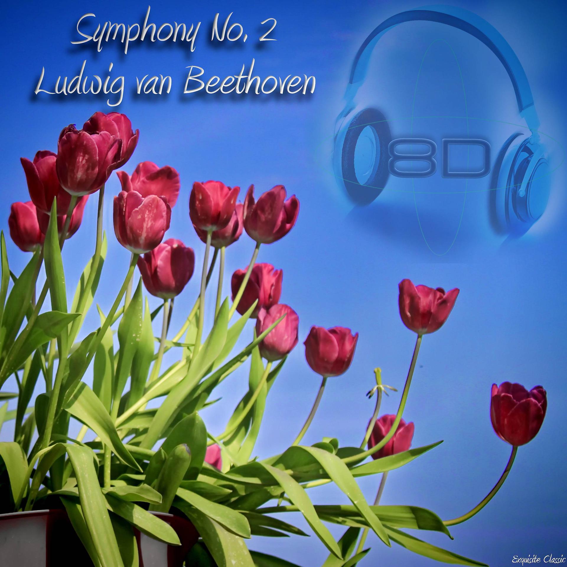 Постер альбома Symphony No. 2 in D major, Op. 36 - Ludwig van Beethoven