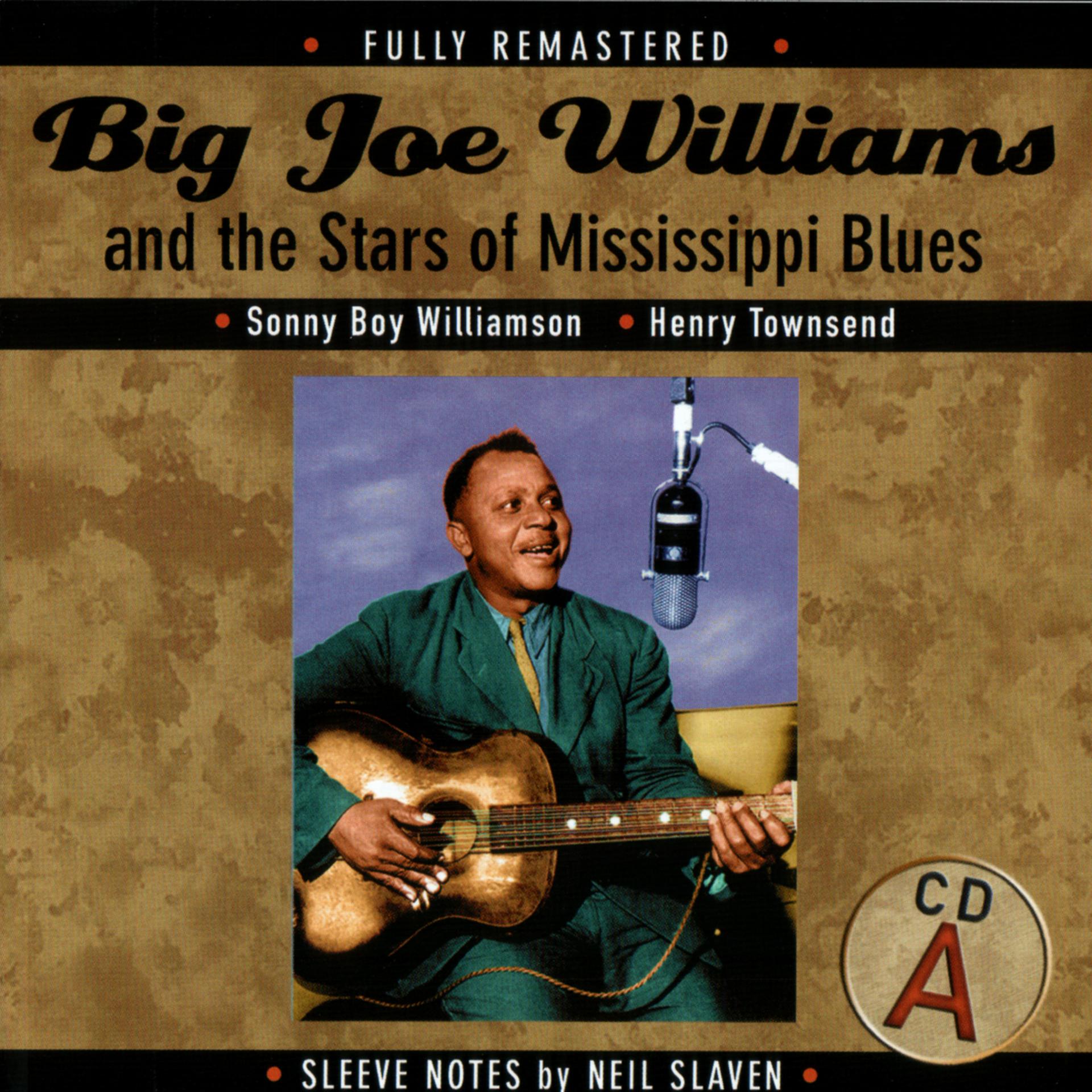Постер альбома Big Joe Williams And The Stars Of Mississippi Blues