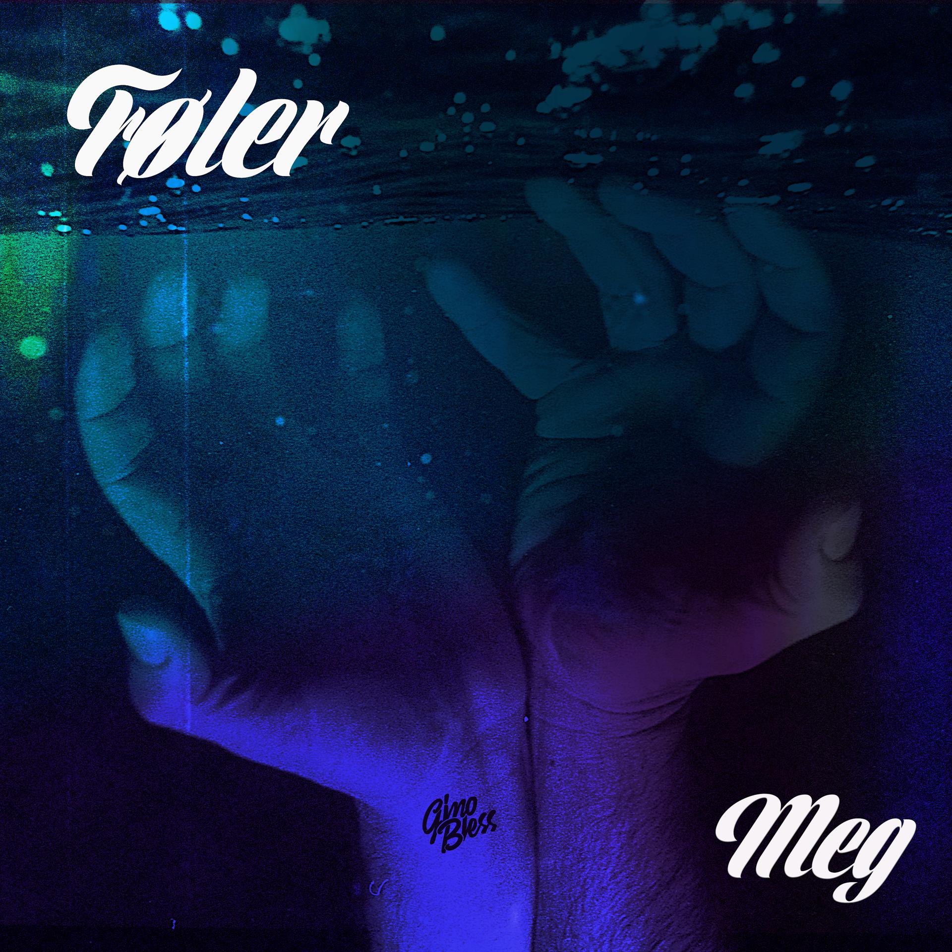 Постер альбома Føler Meg