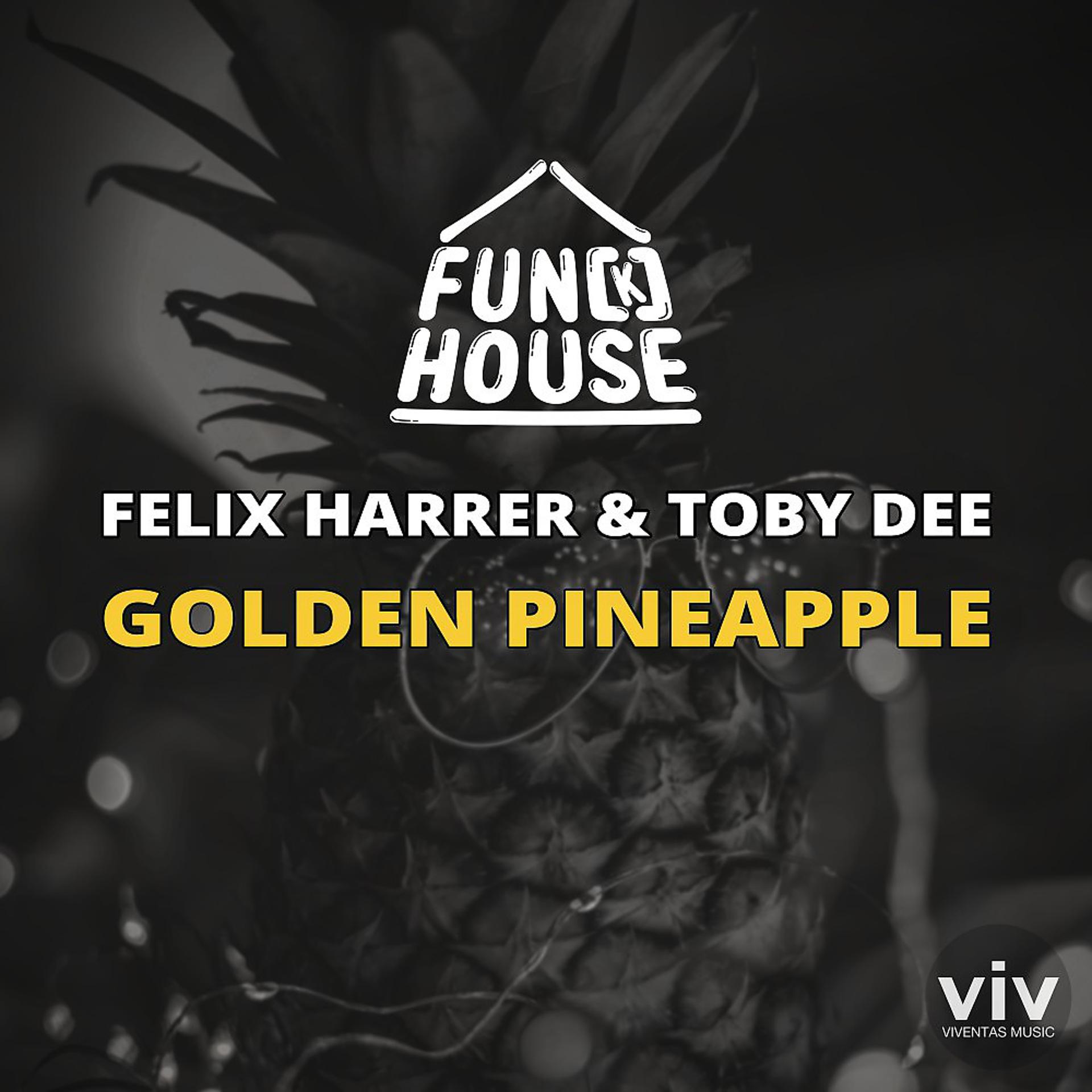 Постер альбома Golden Pineapple