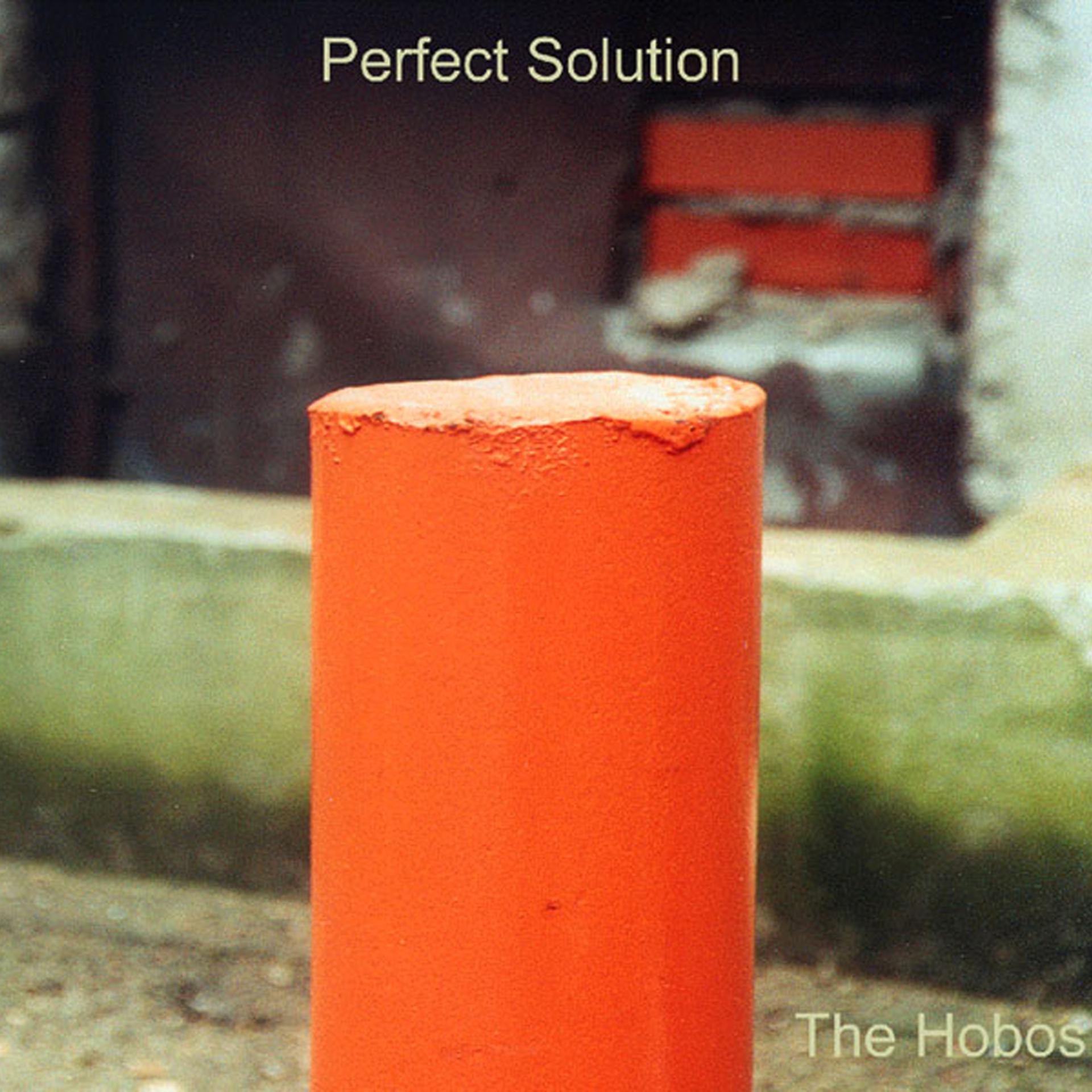 Постер альбома Perfect Solution