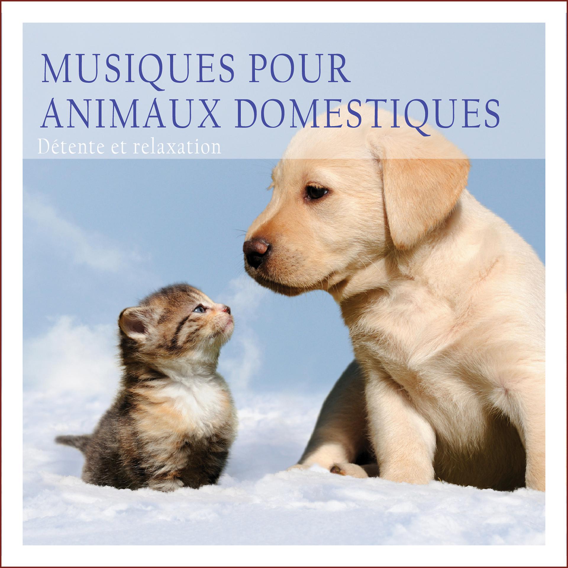 Постер альбома Musiques pour animaux domestiques: Détente et relaxation