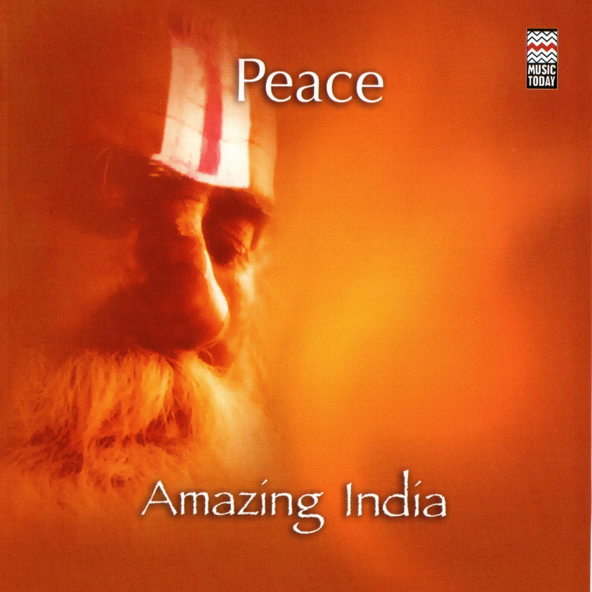 Постер альбома Amazing India - Peace