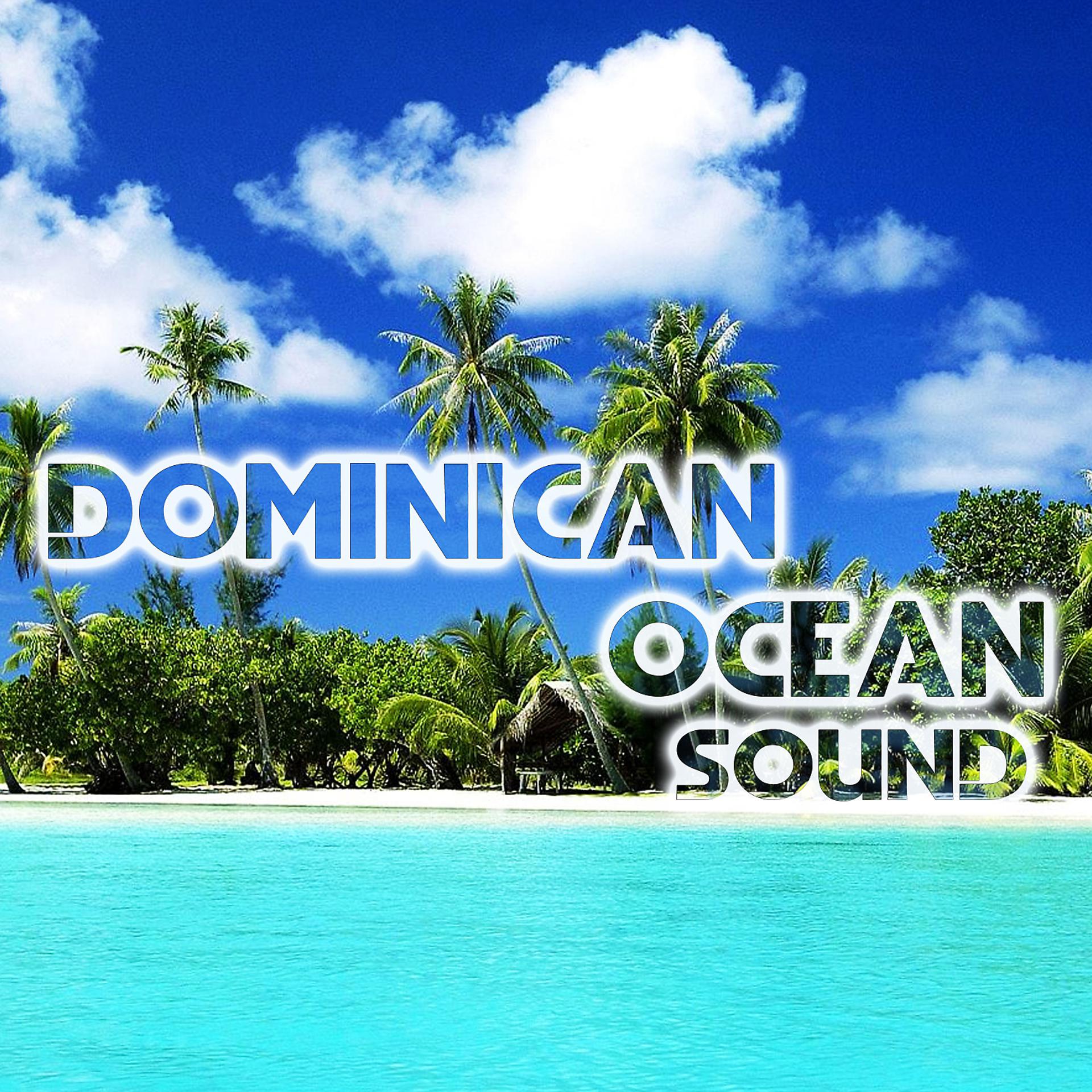 Постер альбома Dominican Ocean Sound (feat. National Geographic Soundscapes, White Noise Ambience, White Noise Sounds For Sleep, Soothing Baby Sounds, Soothing Sounds & Ocean Sounds FX)