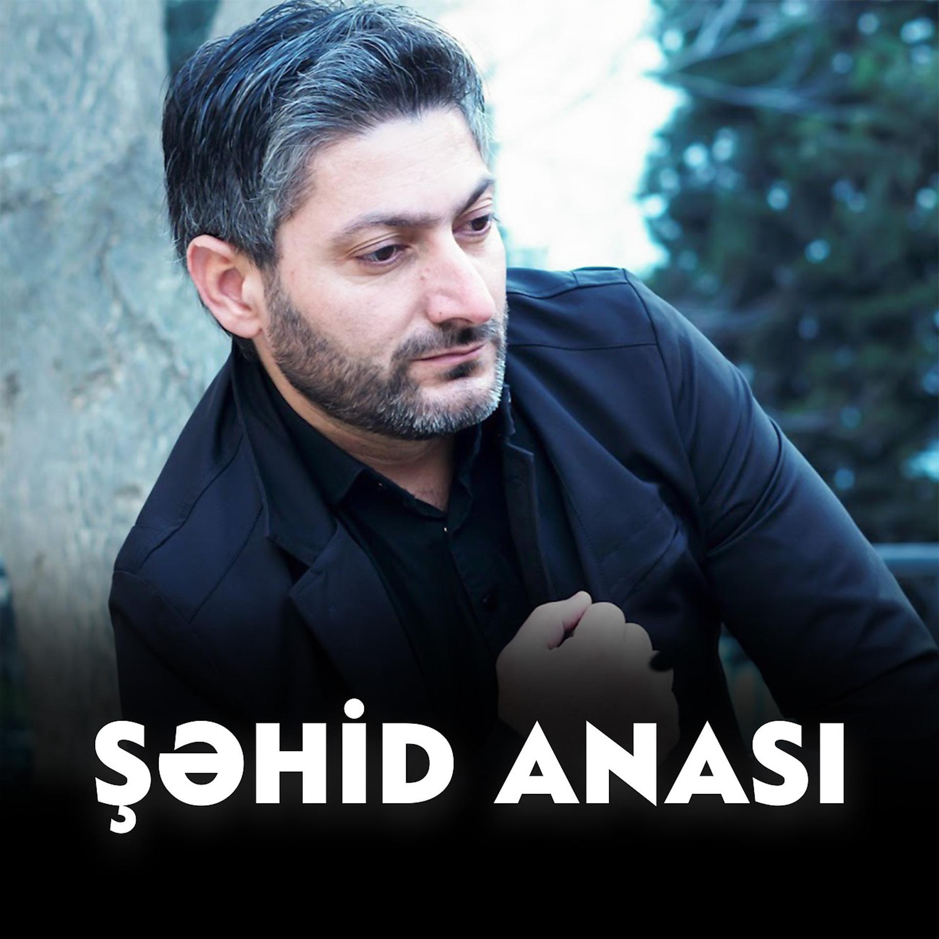 Постер альбома Şəhid Anası