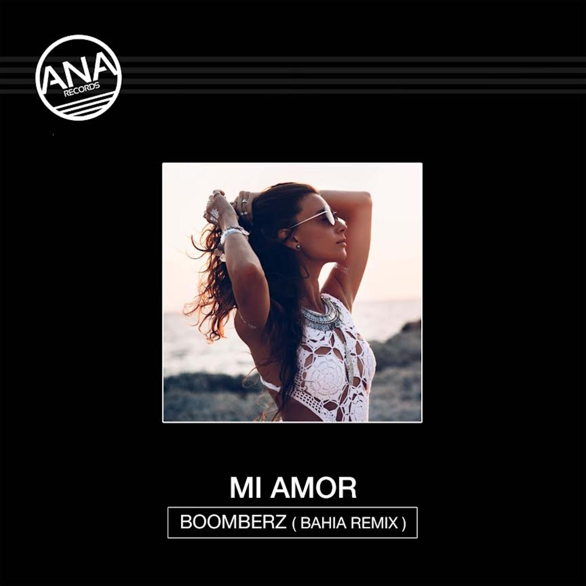 Постер альбома Mi Amor (Bahia Remix)