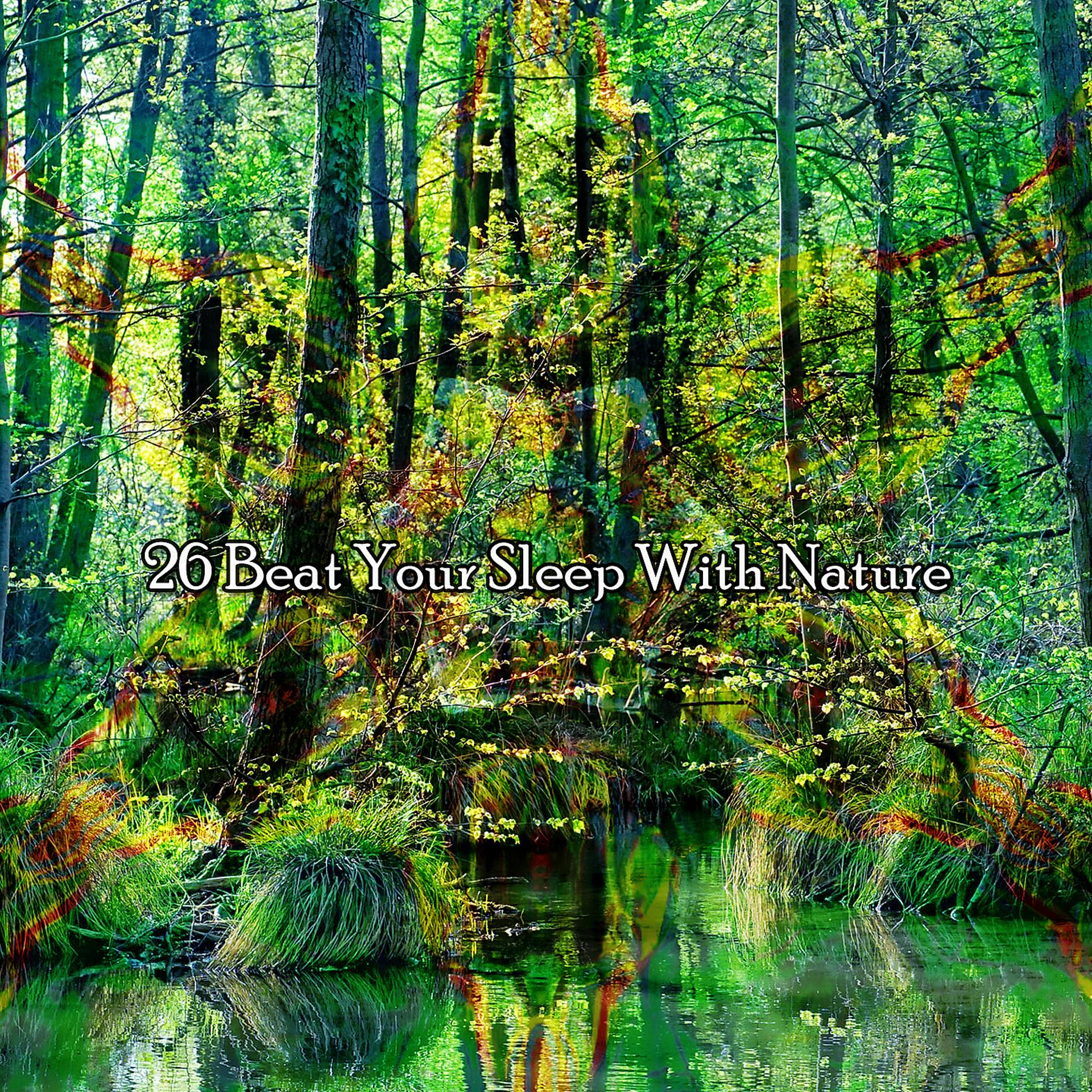 Постер альбома 26 Beat Your Sleep With Nature