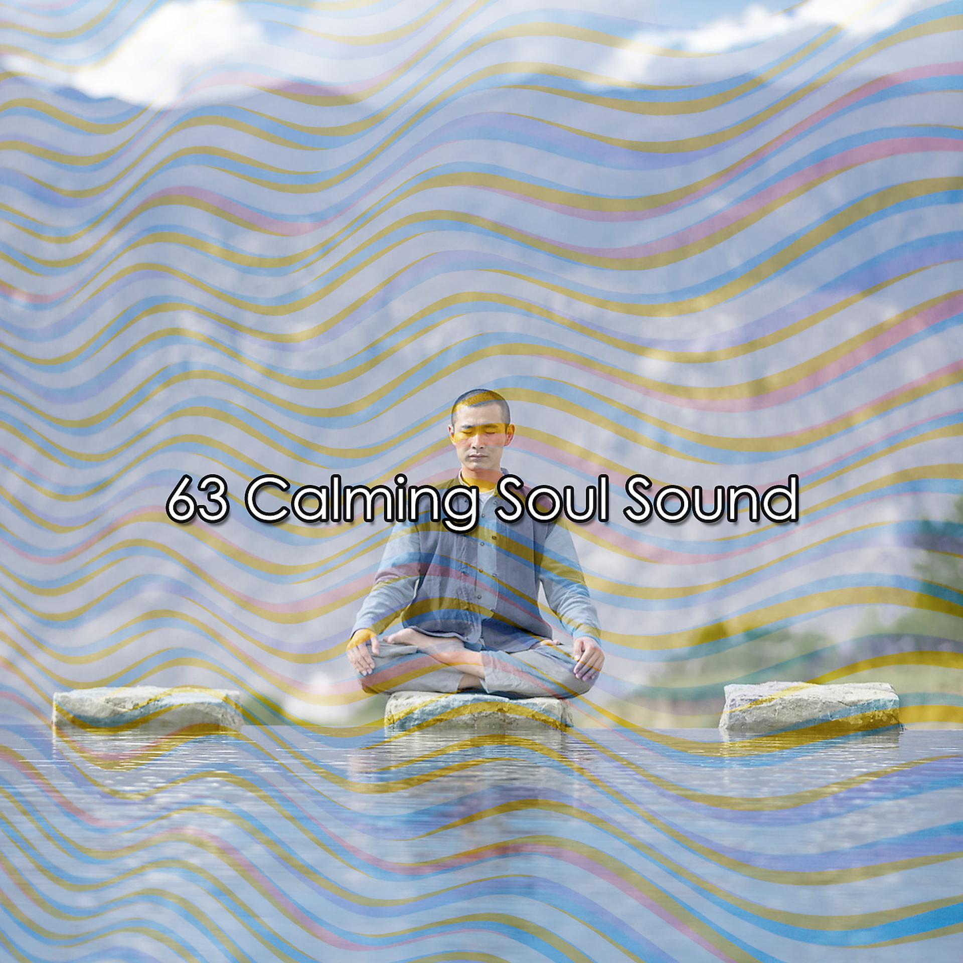 Постер альбома 63 Успокаивающий звук души