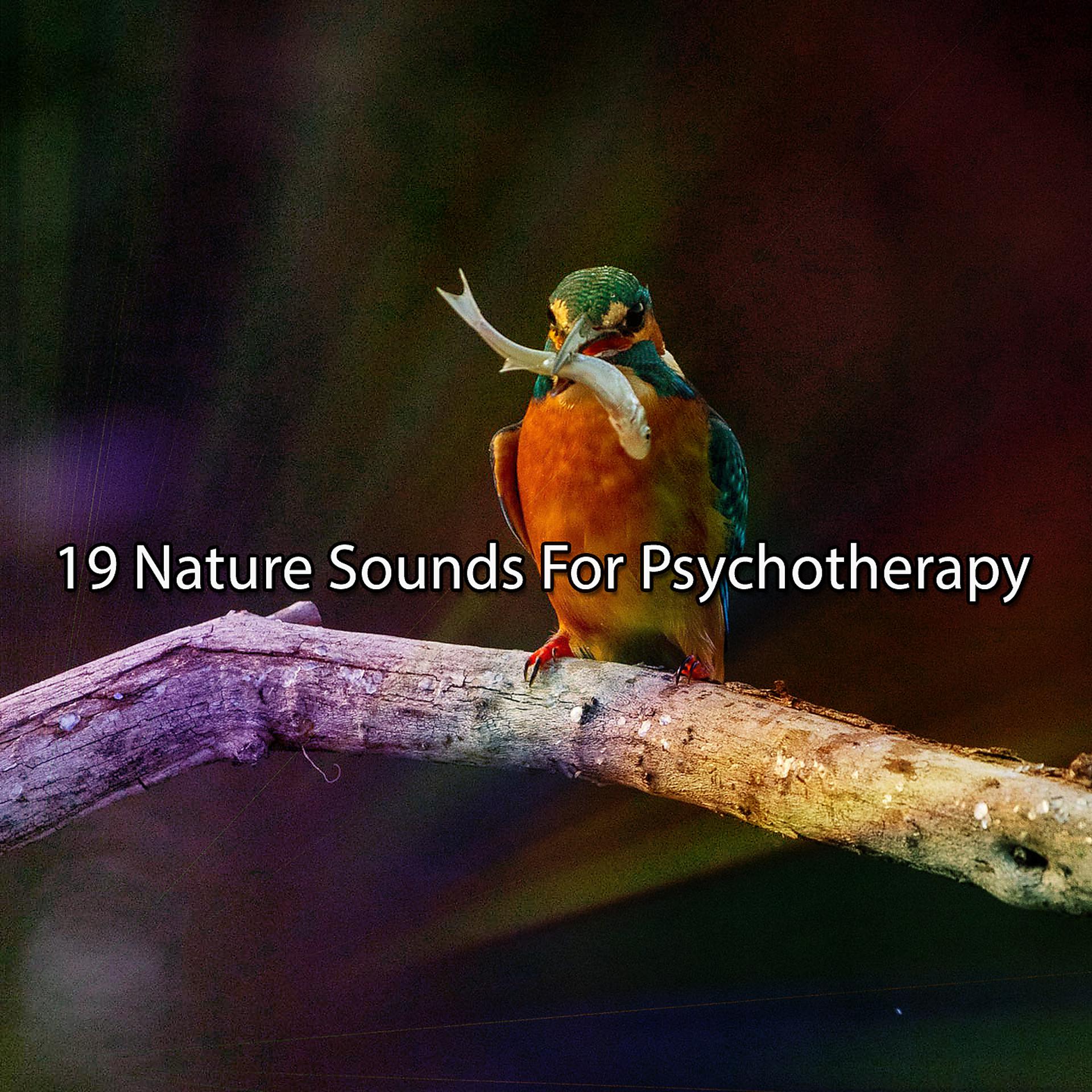 Постер альбома 19 Nature Sounds For Psychotherapy