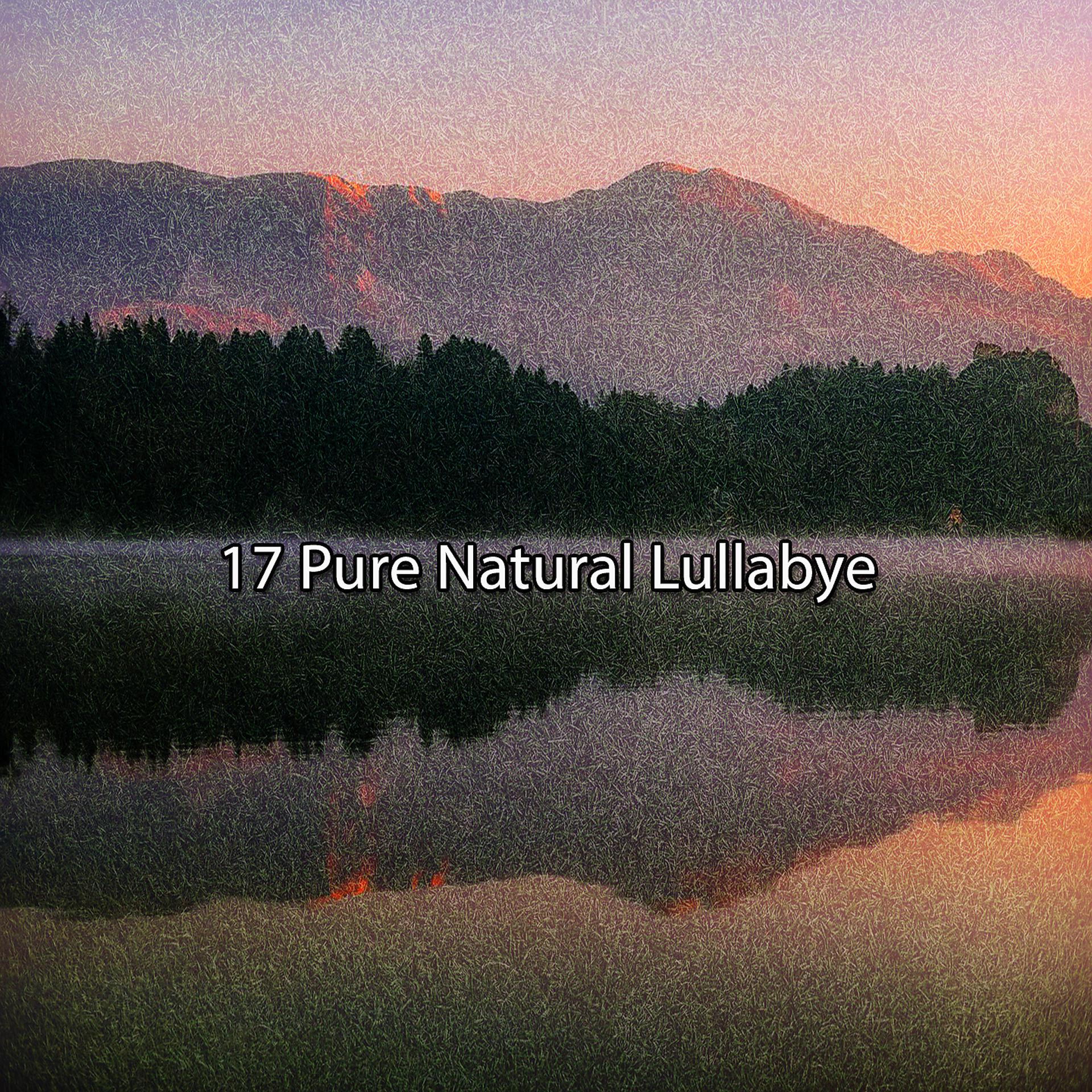 Постер альбома 17 Pure Natural Lullabye