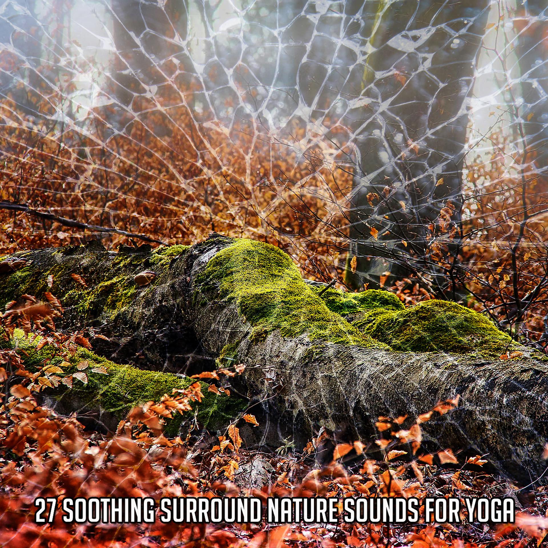 Постер альбома 27 успокаивающих звуков природы для занятий йогой