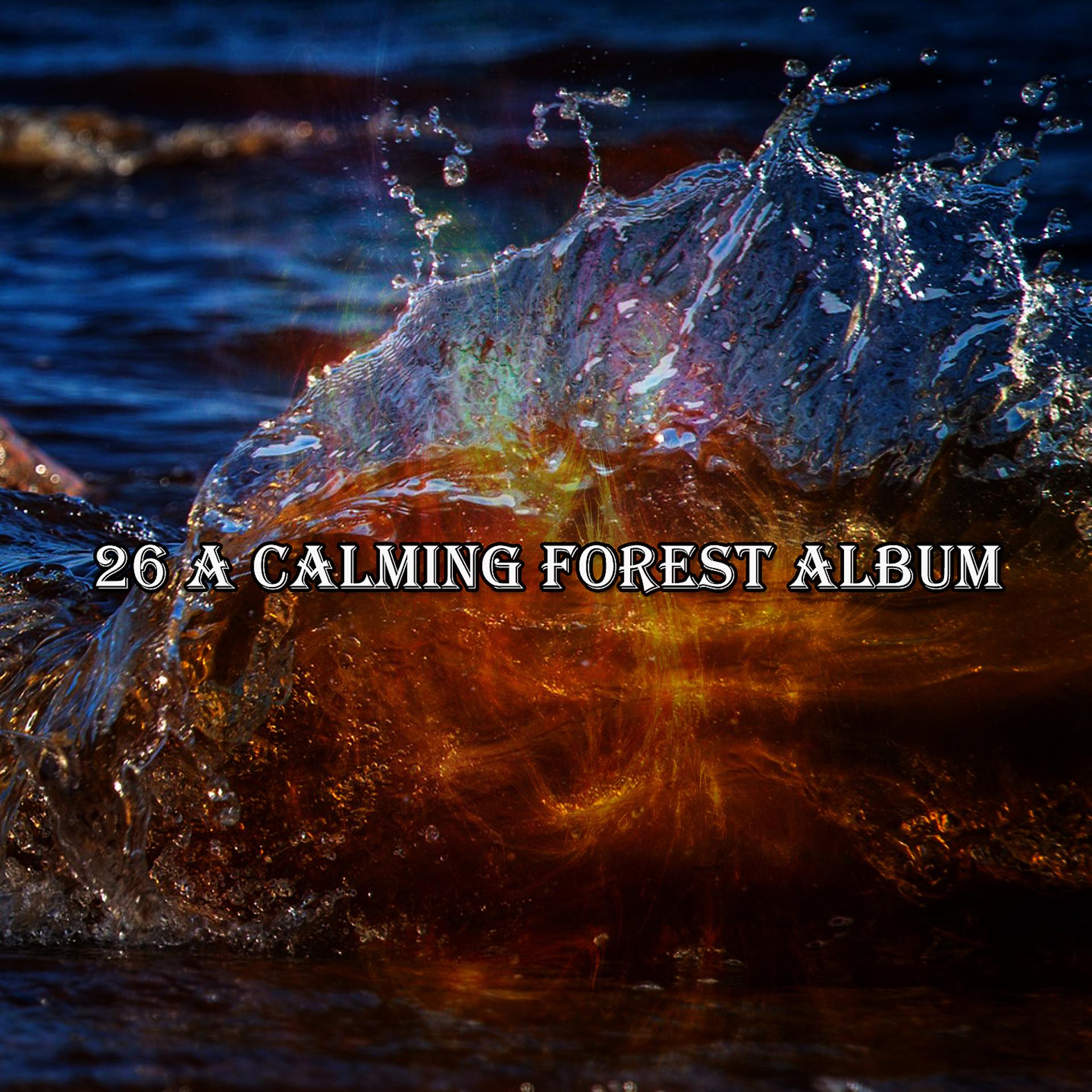 Постер альбома 26 Успокаивающий лесной альбом