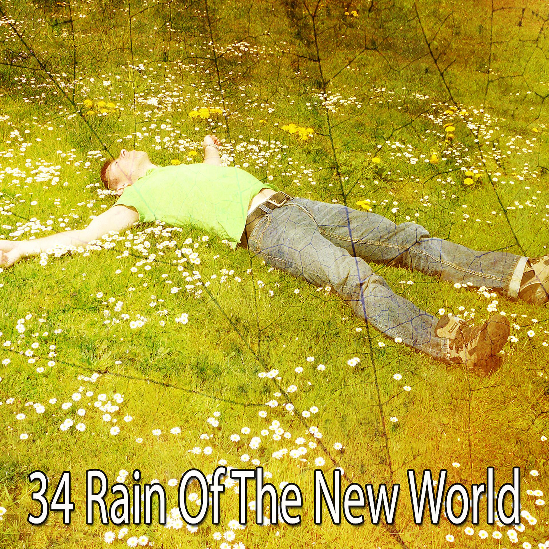 Постер альбома 34 Дождь Нового Света