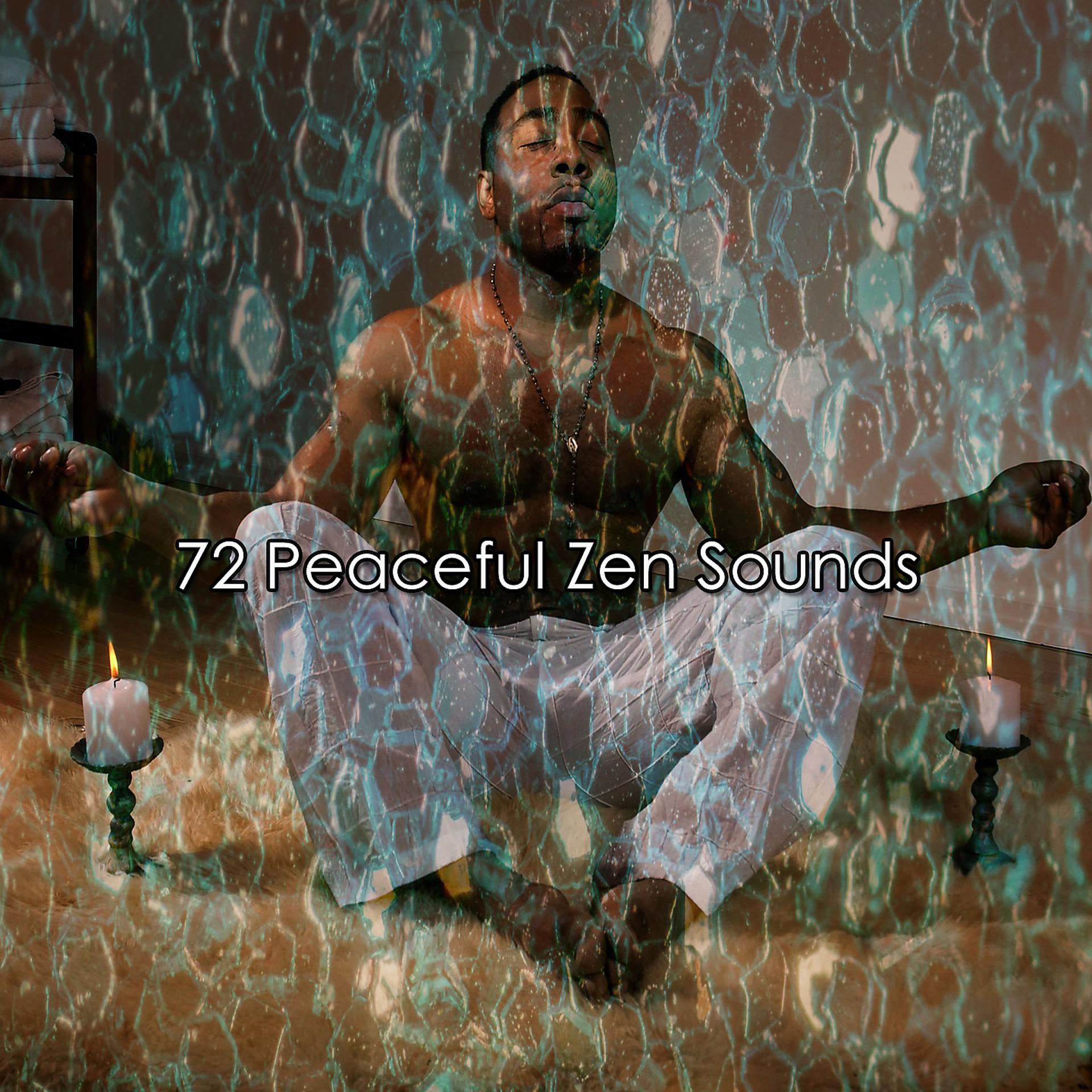 Постер альбома !!!! 72 Peaceful Zen Sounds !!!!