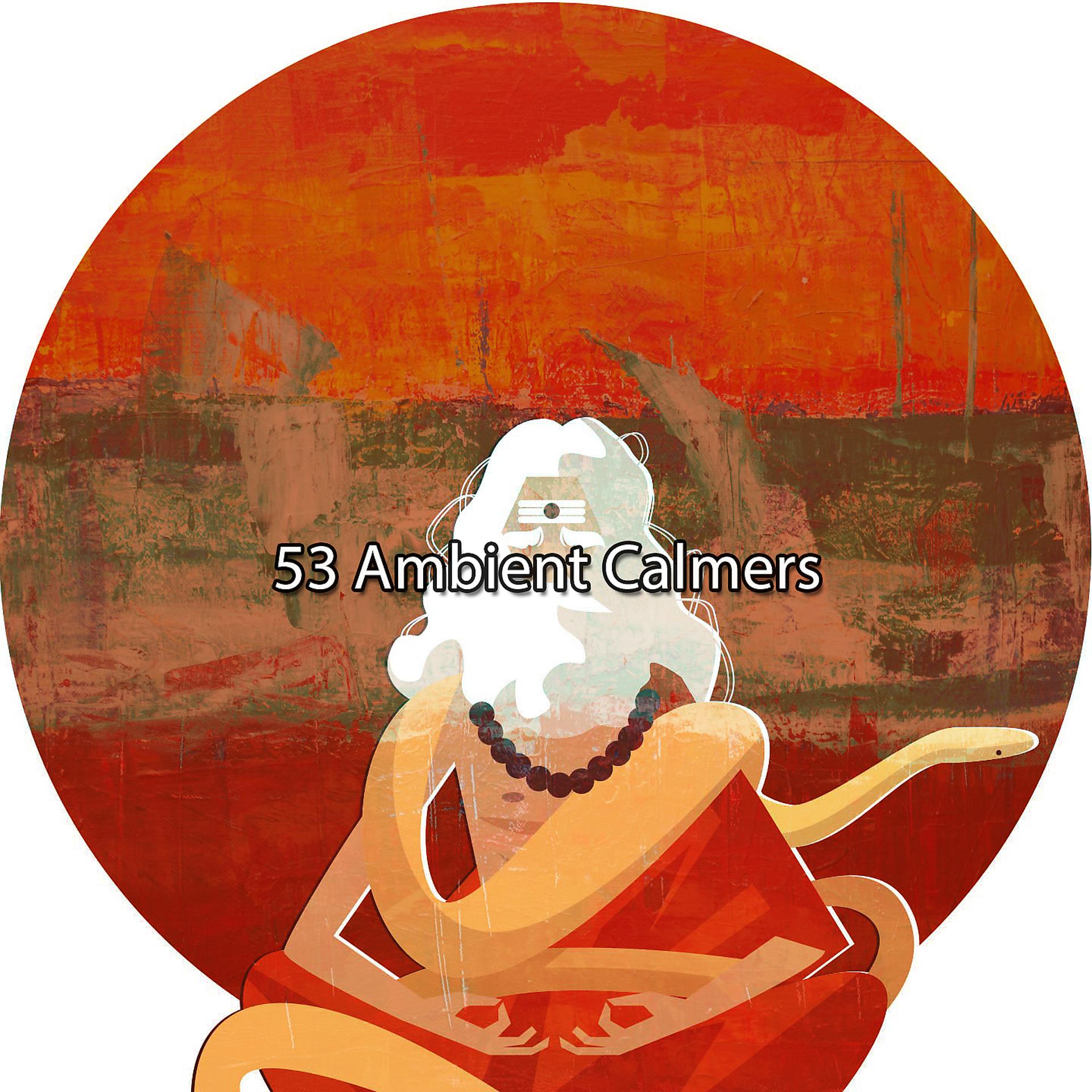 Постер альбома 53 Ambient Calmers