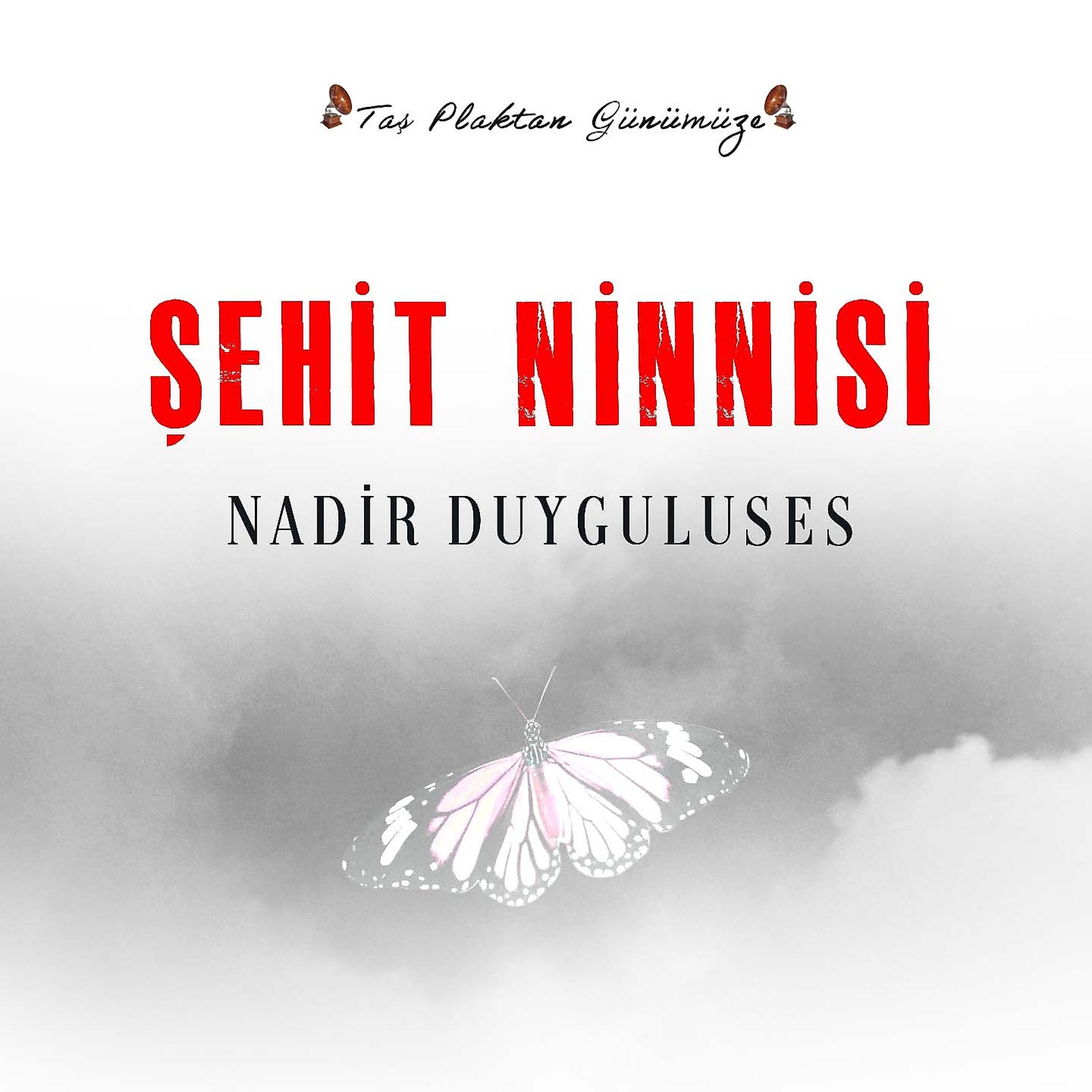 Постер альбома Şehit Ninnisi