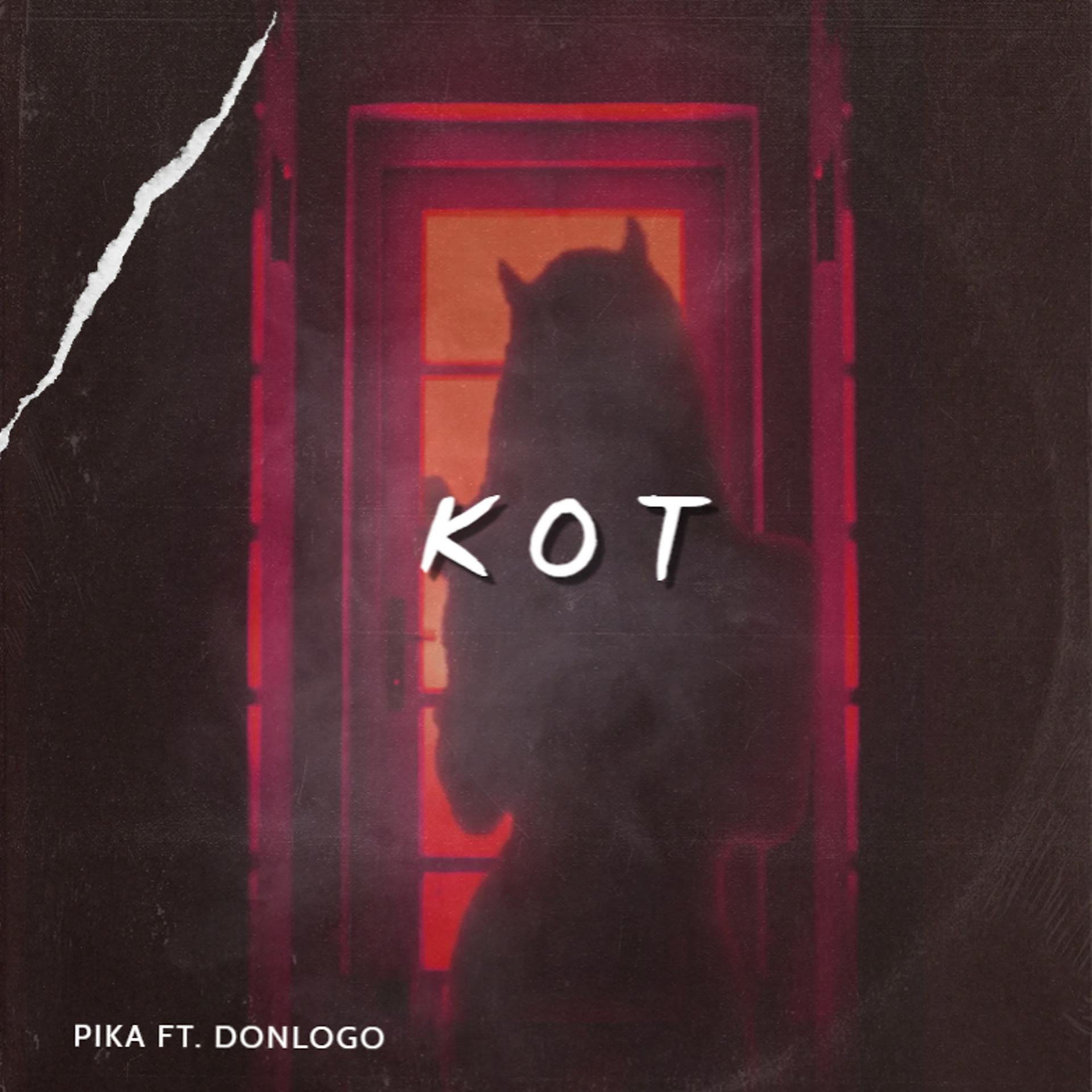 Постер альбома Kot