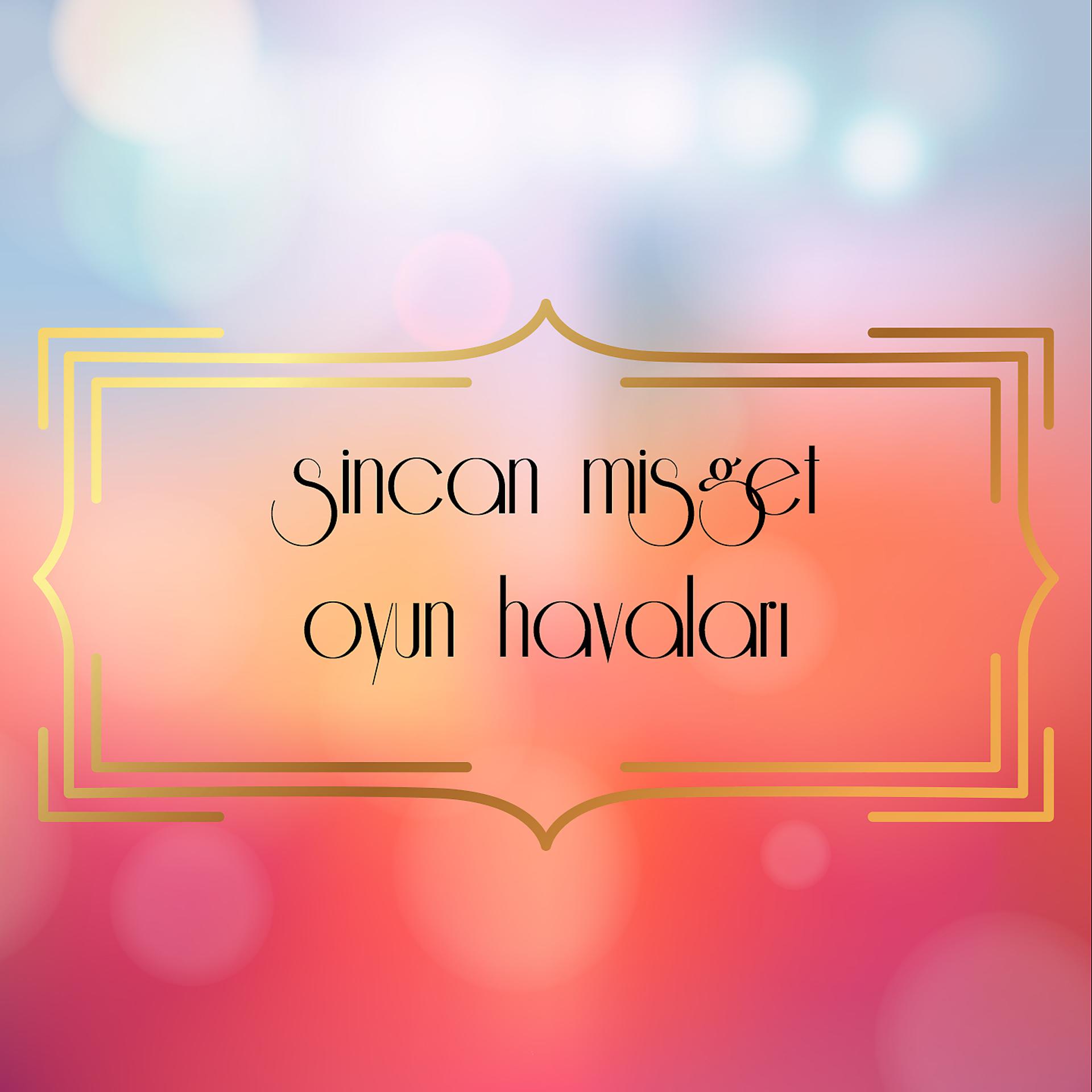 Постер альбома Sincan Misget Oyun Havaları, Vol. 2