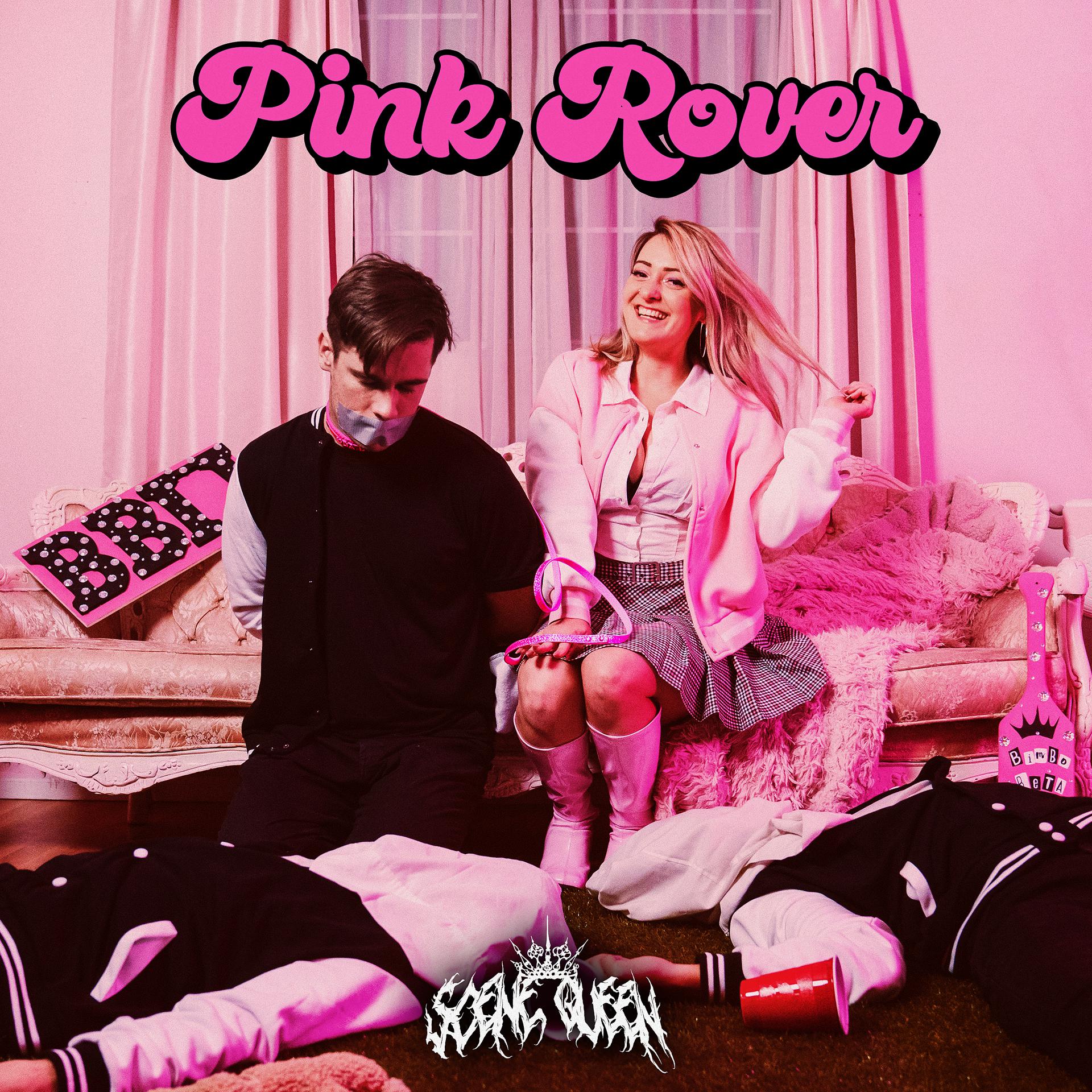 Постер альбома Pink Rover